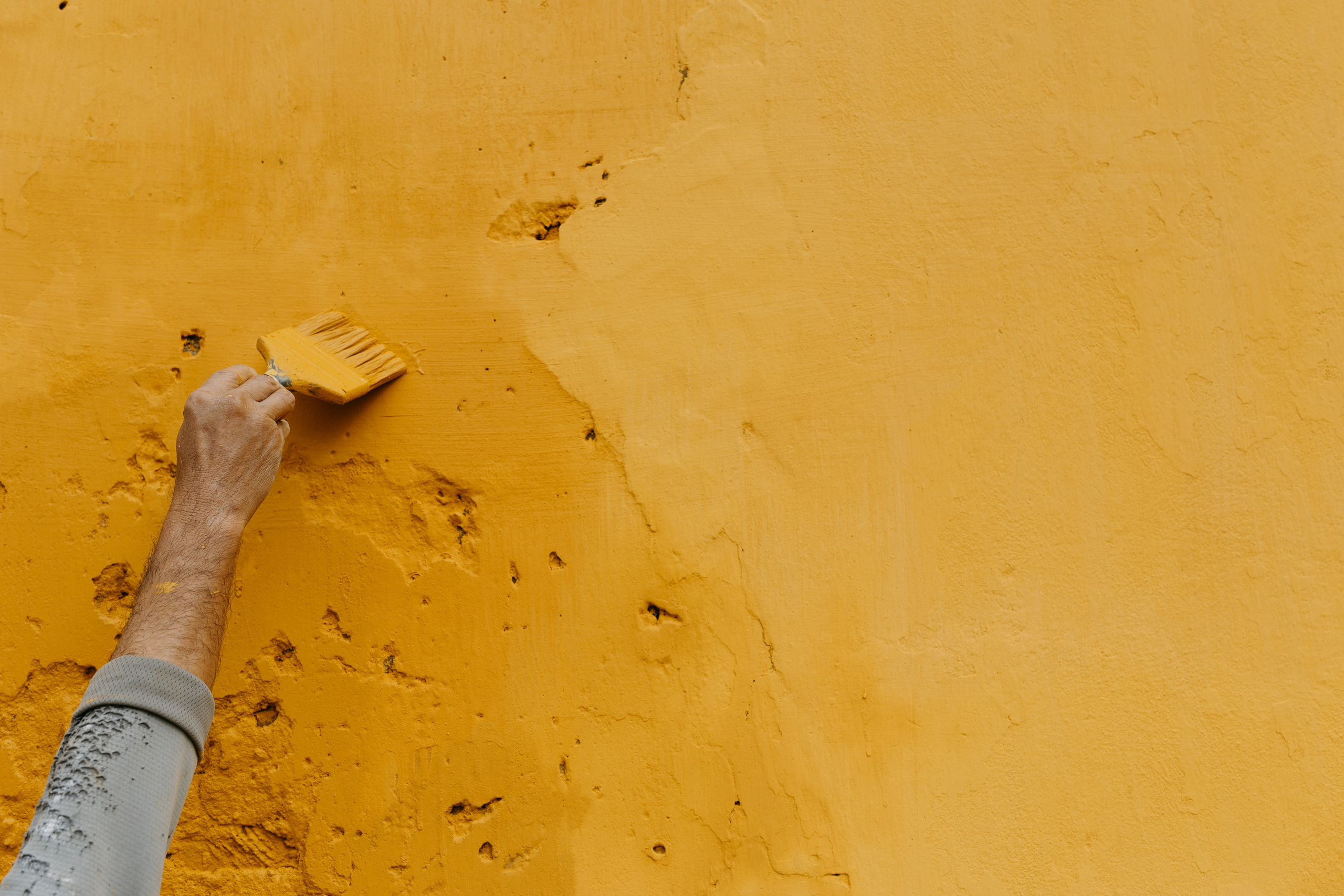 Фотограф Александр Шевяков