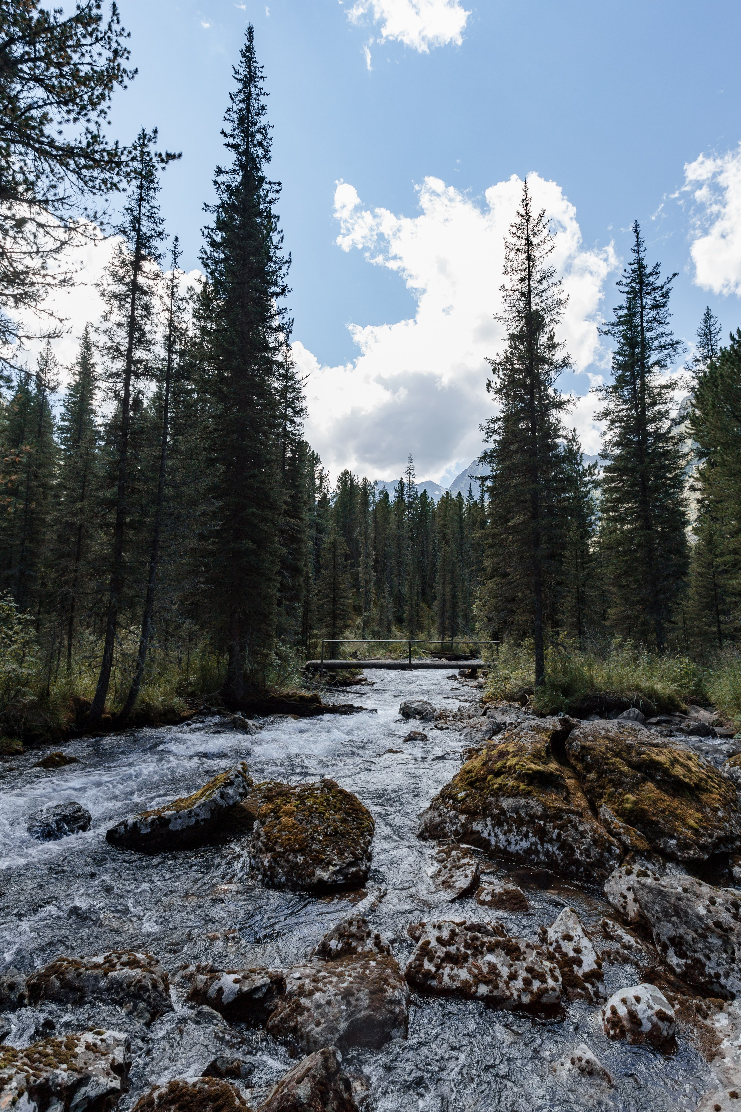 Катунский заповедник, Республика Алтай. Репортажный фотограф в Крыму Ксения Гасица