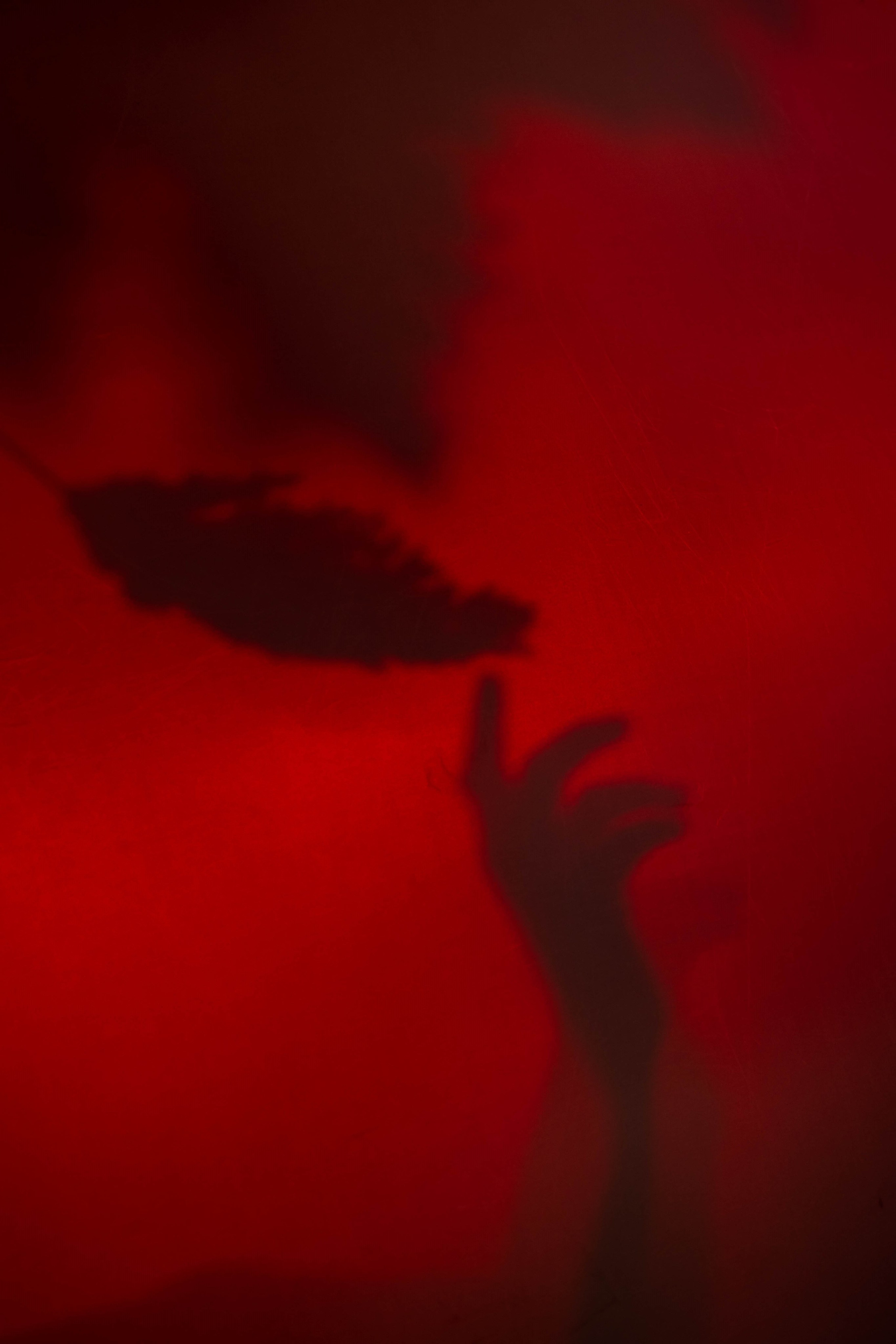 Red flags and long nights. Лиза, ваш портретный и репортажный фотограф в Ульяновске!