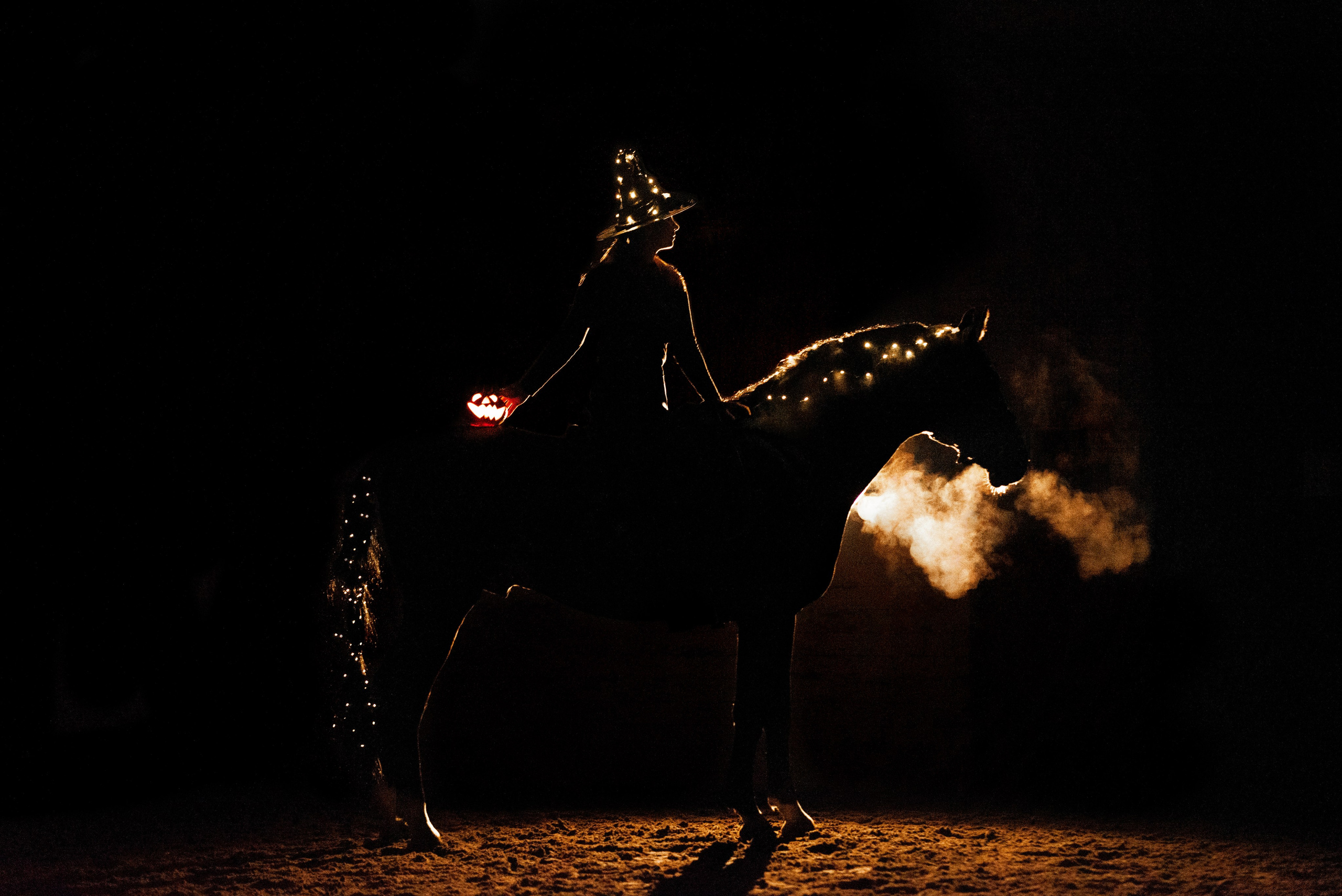 HORSIO Halloween. Конный фотограф Куракина Дарья • Фотосессии с лошадьми