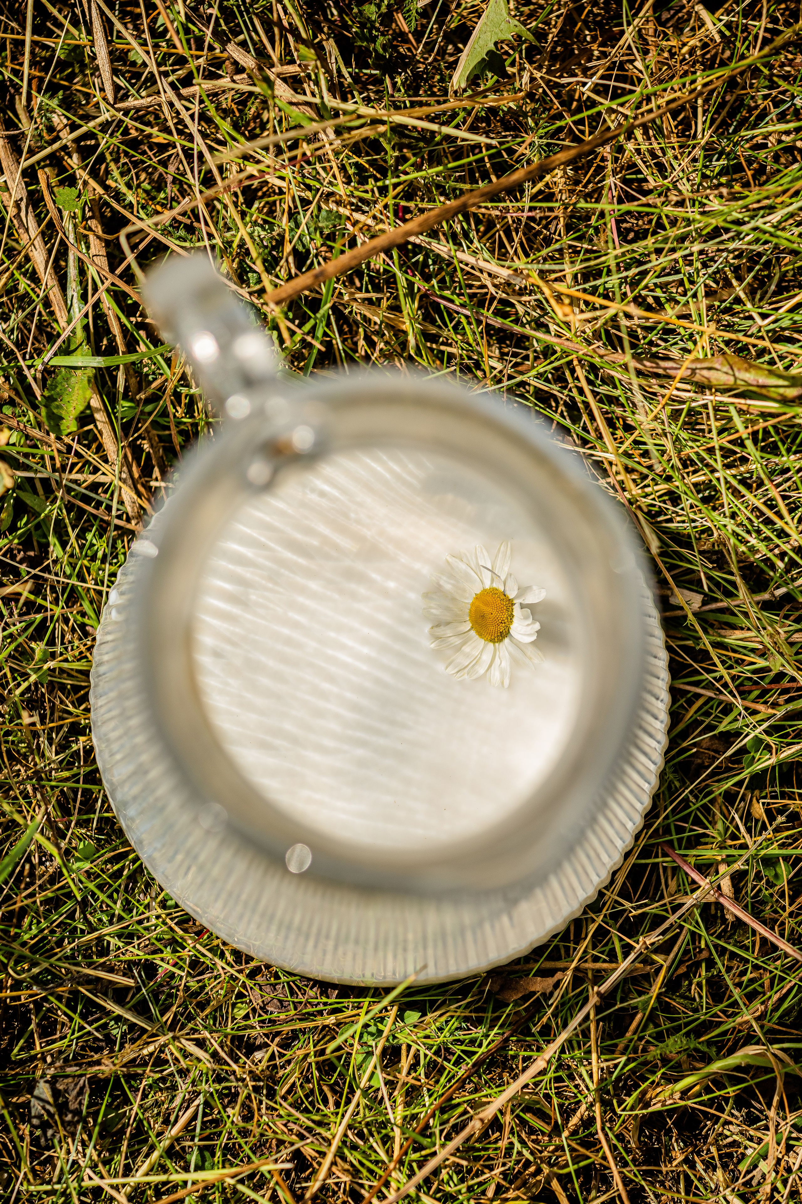 Детские съёмки. Авторские туры с профессиональным фотографом