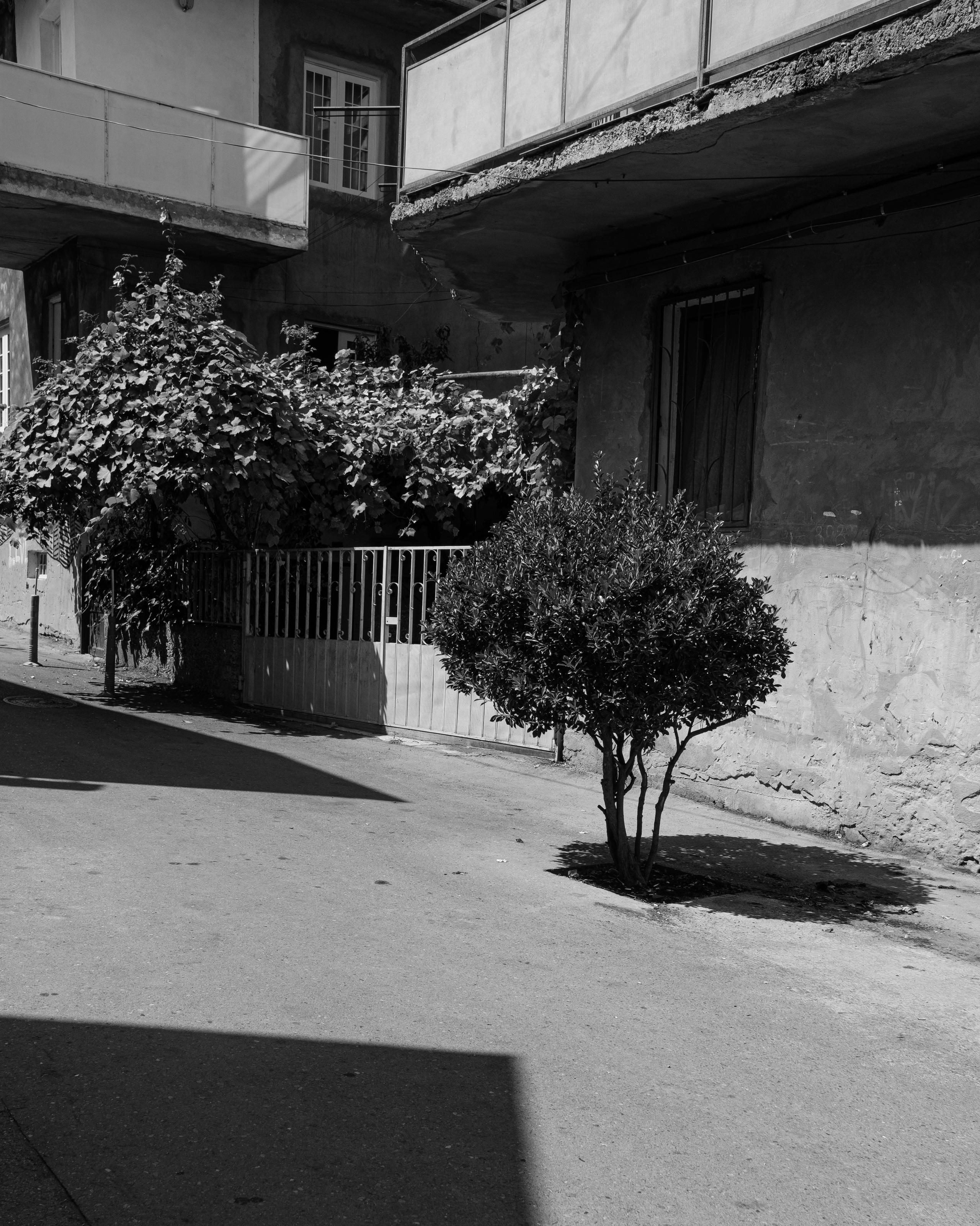 Тбилиси, 2024. Портретный фотограф в Москве Евгения Яковенко