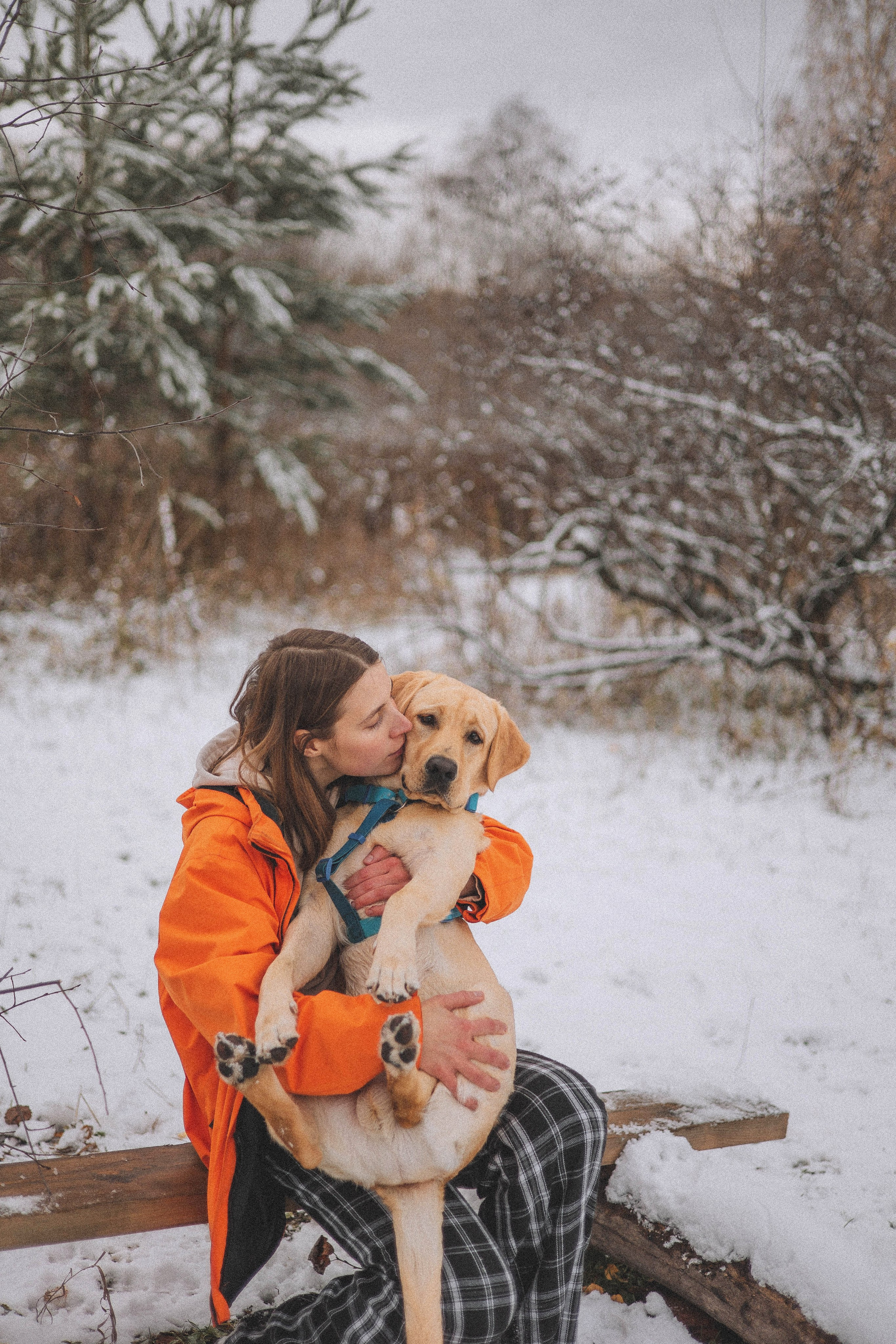 Маргарита и Варди. Фотограф-анималист Богданова Полина