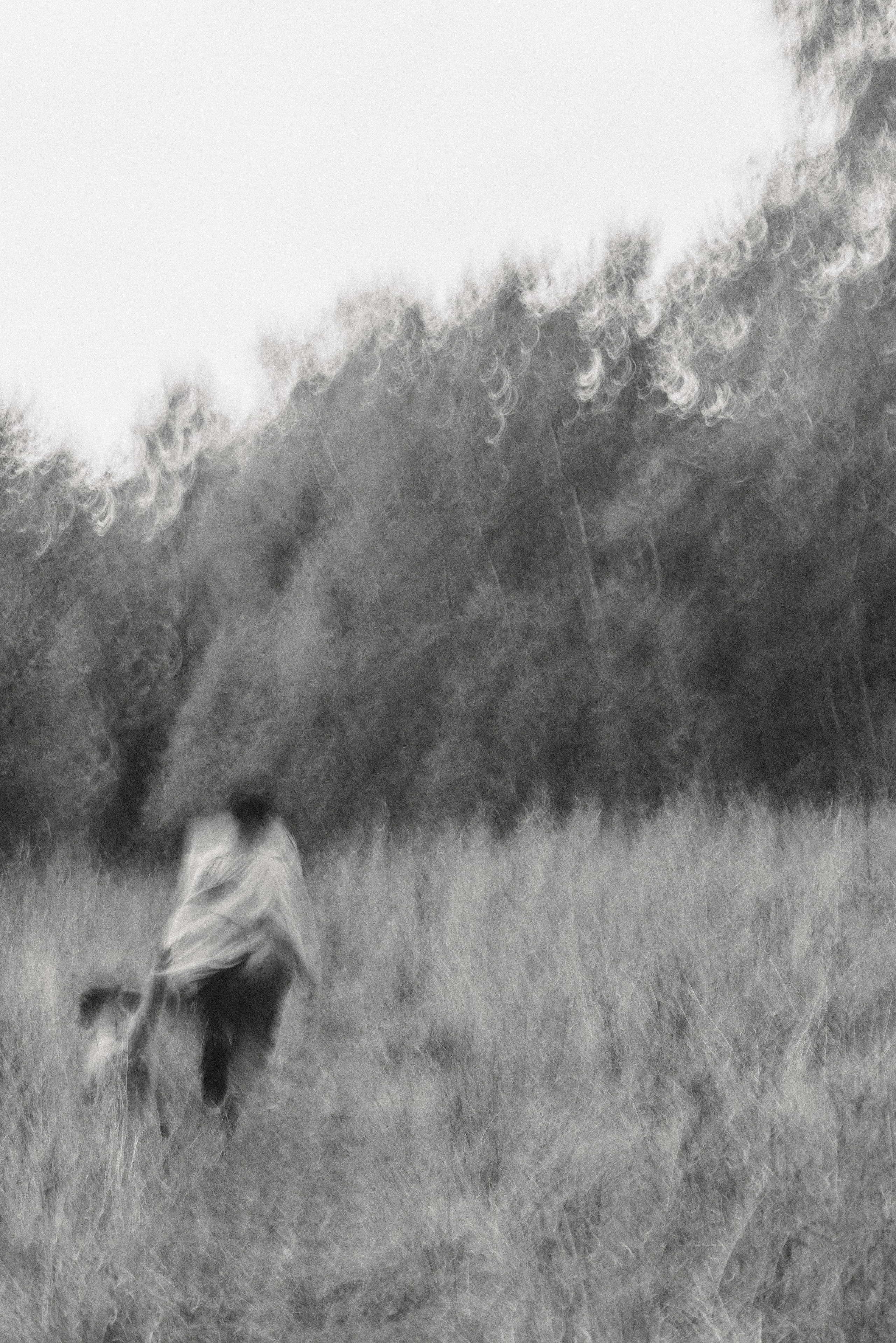 Алёна и Смоки. Фотограф-анималист Богданова Полина