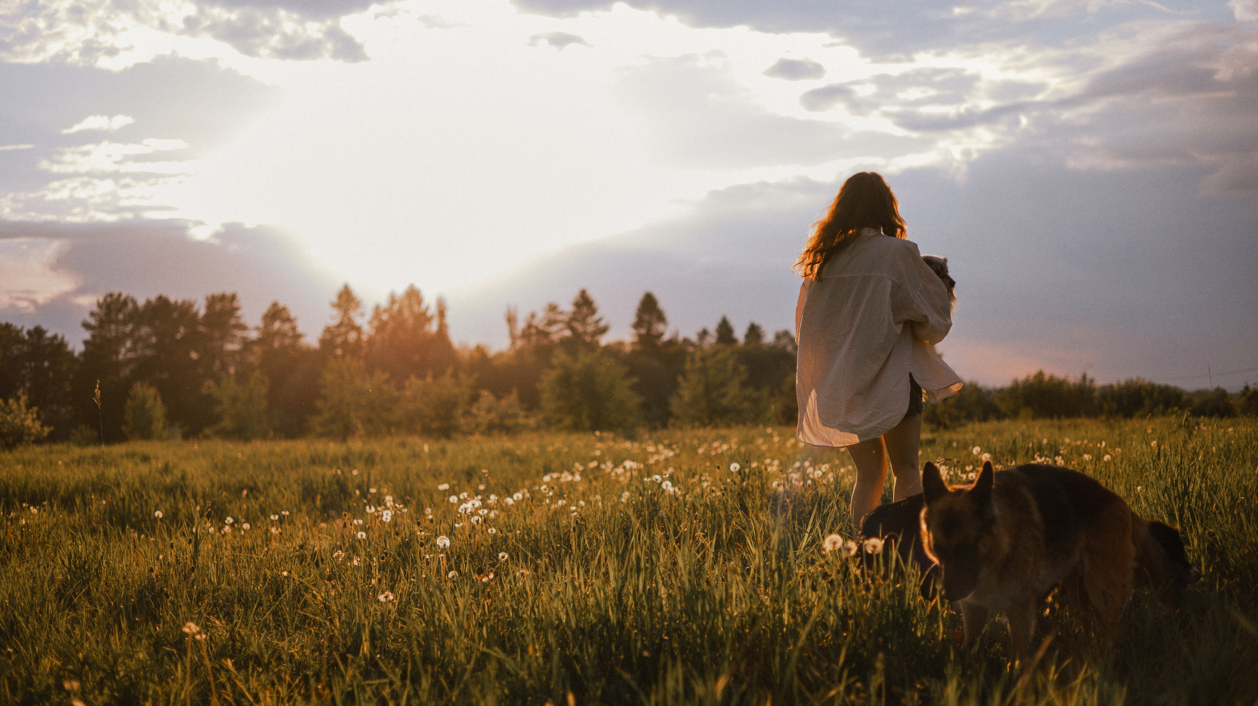 Настя, Шуня, Милка и Тигуан. Фотограф-анималист Богданова Полина