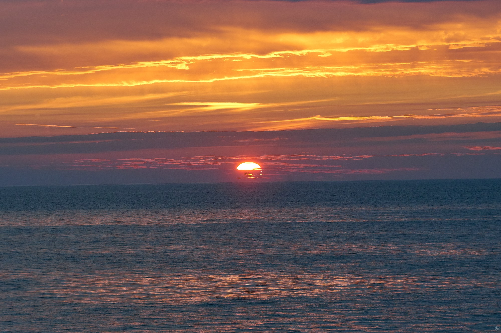 Гагра, Абхазия. Декабрь 2024. Фотографии отовсюду и обо всем