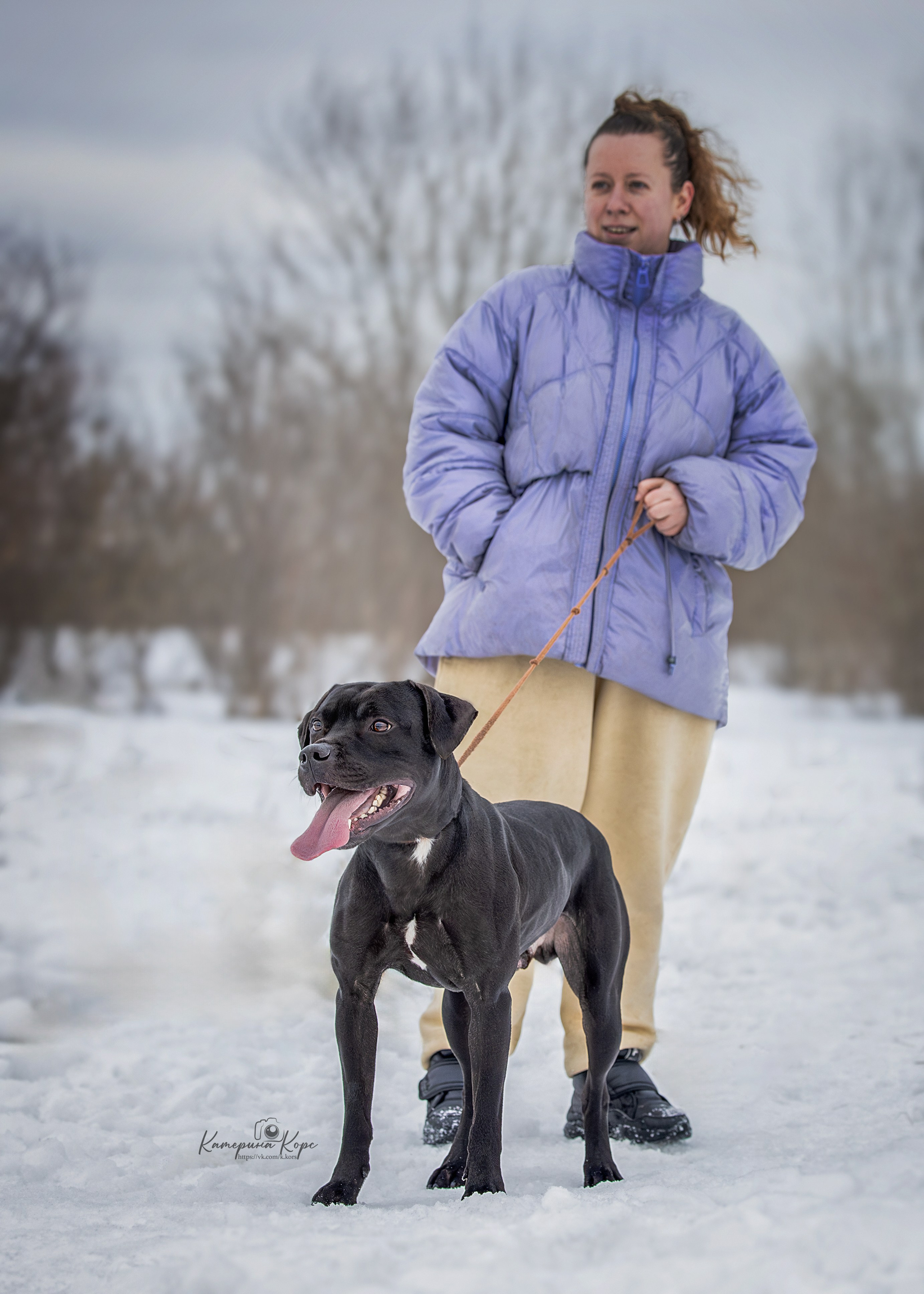 АПБТ Мавр. Главная