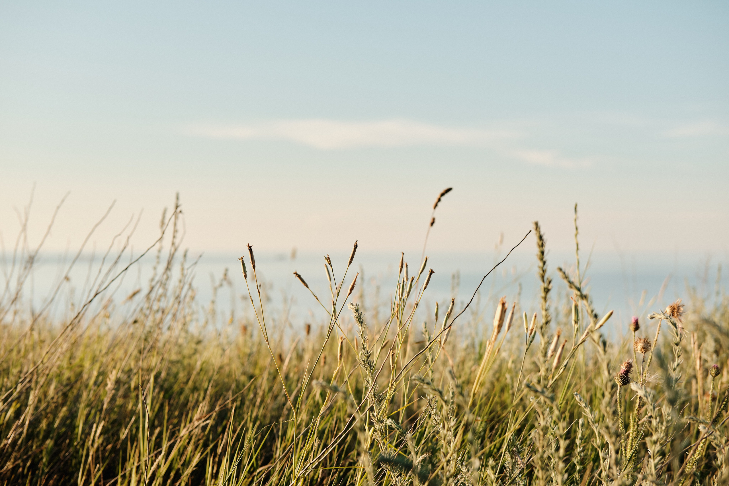 Азовское море. Фотограф в Анапе и Краснодаре Тина
