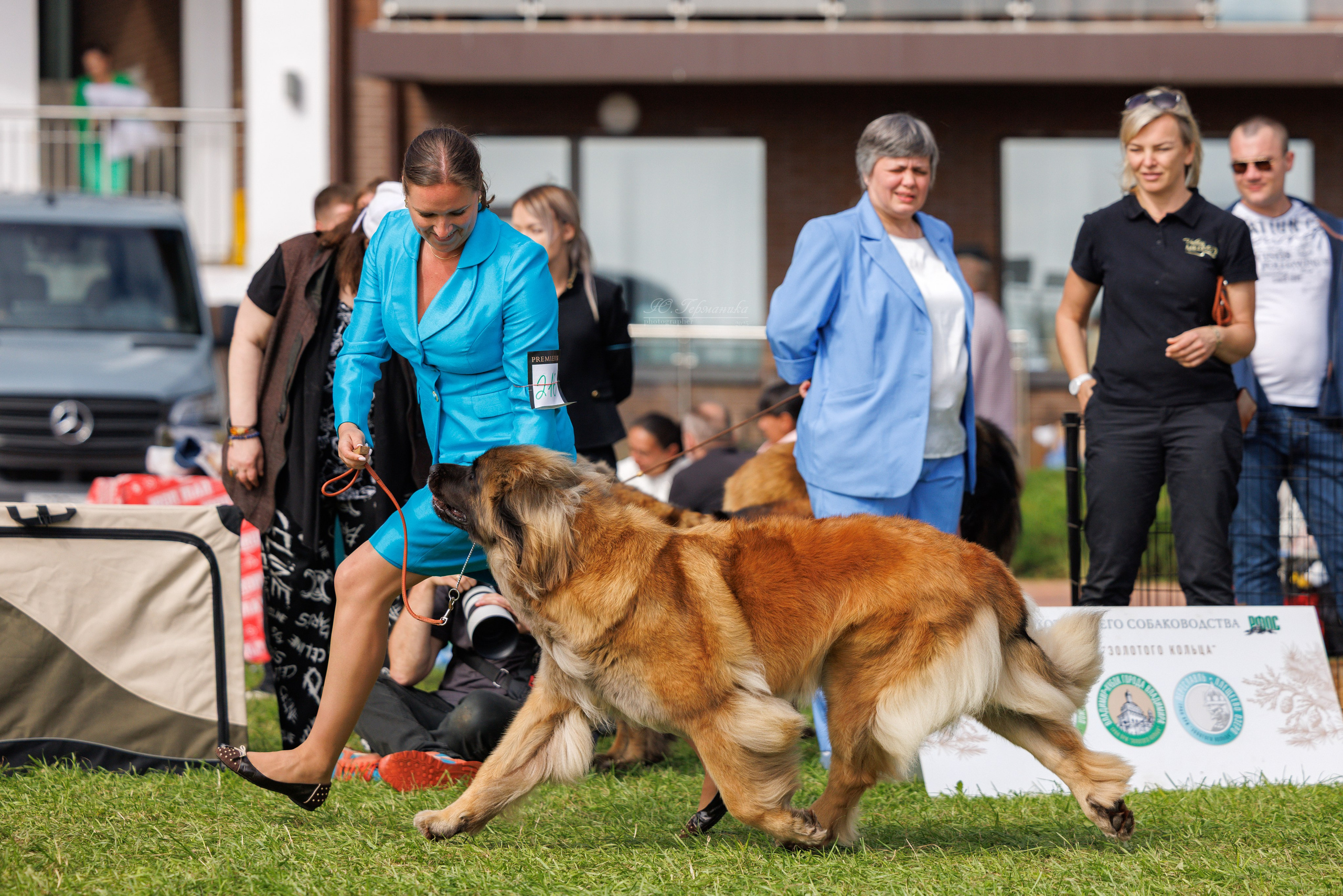 Переславль 5-7.08.2025. Фотограф-анималист Юлия Германика