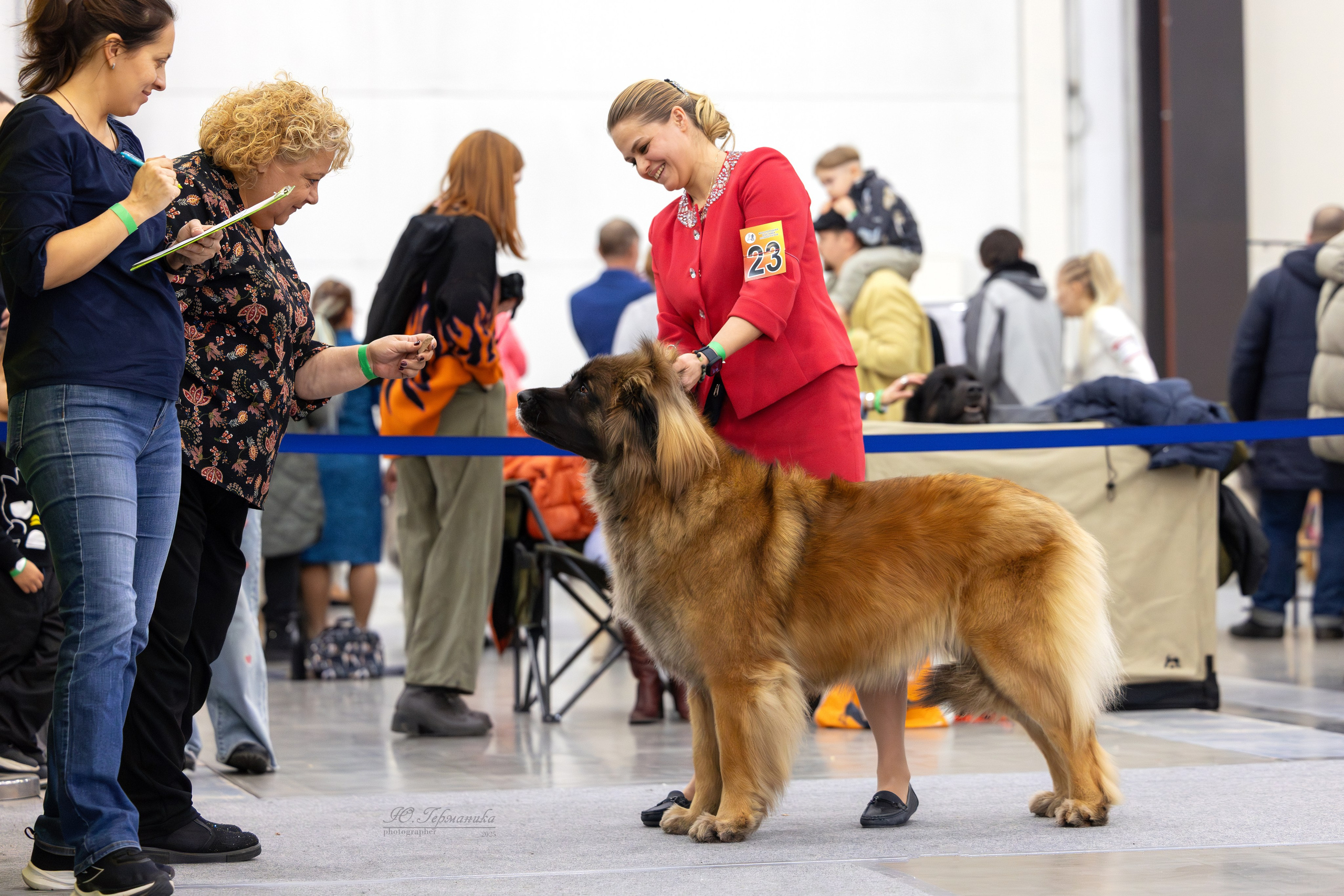 Питер 12-13.12.2025. Фотограф-анималист Юлия Германика