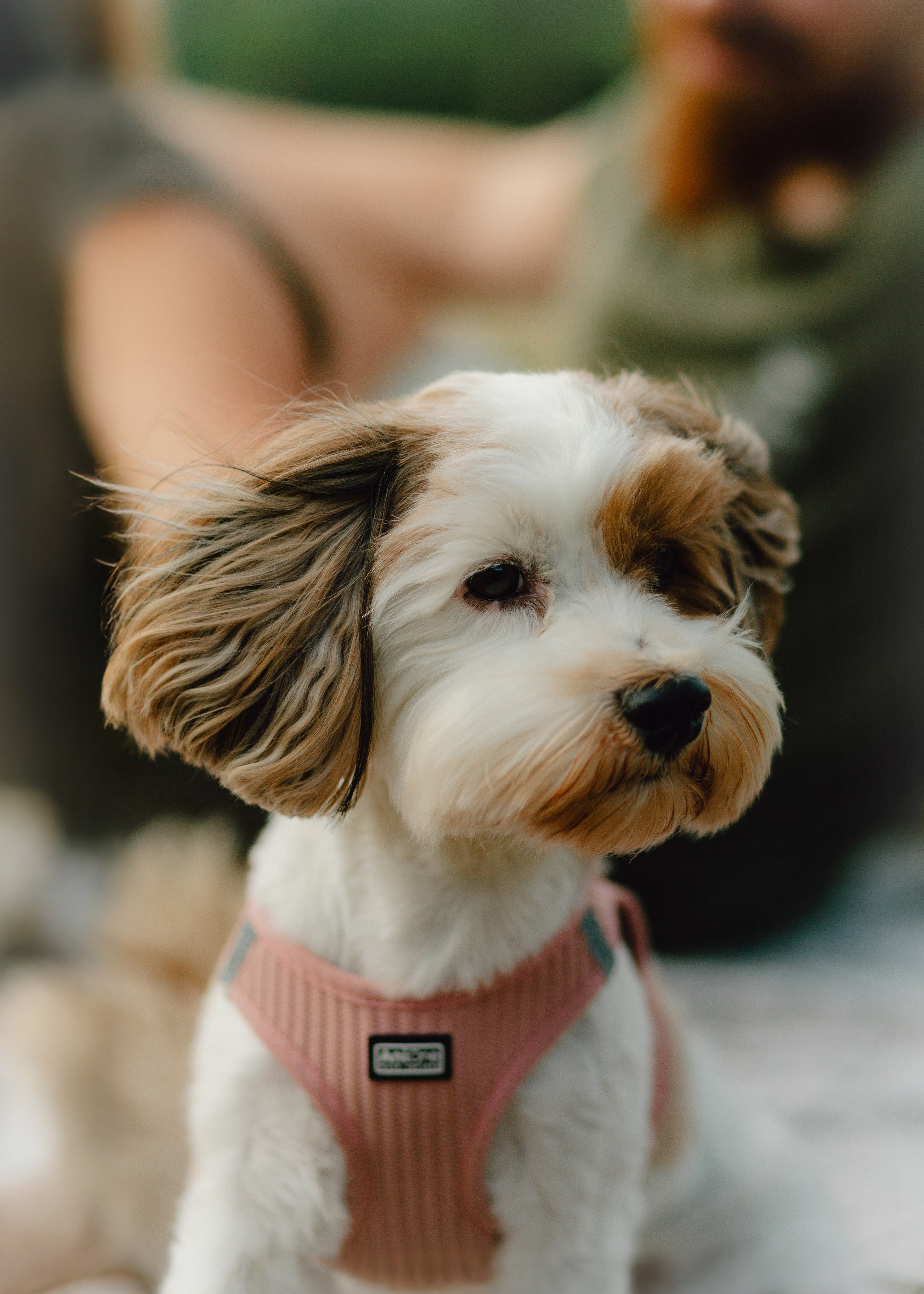 J&J Family. Barbara Isaeva