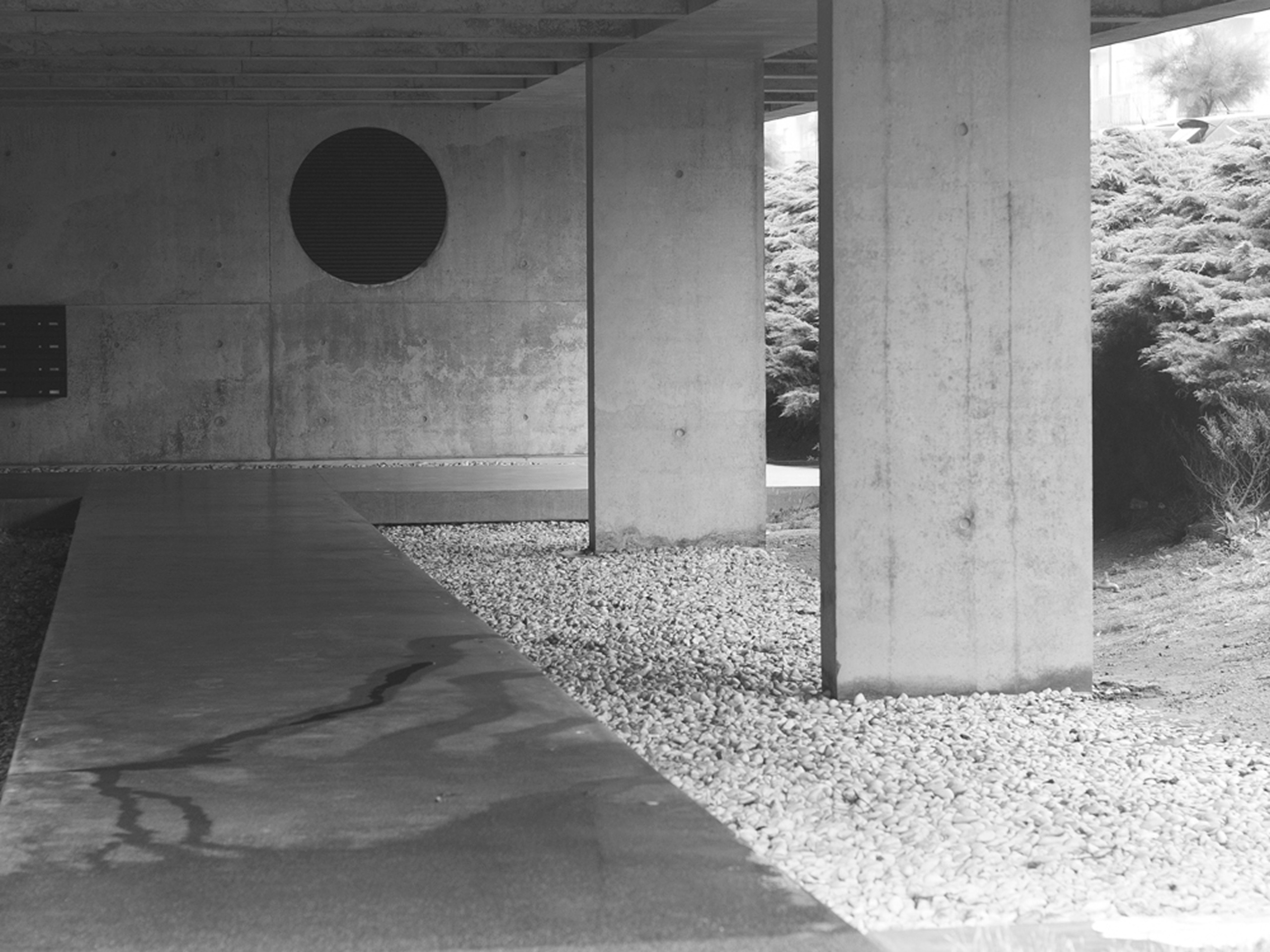 The veil. Ula Aldokhina