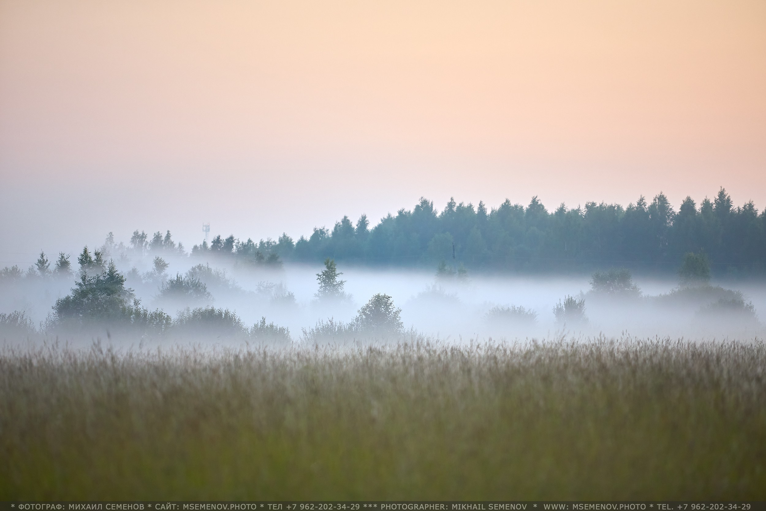 Фотосессия с лошадьми, Фотограф Михаил Семенов г. Ярославль