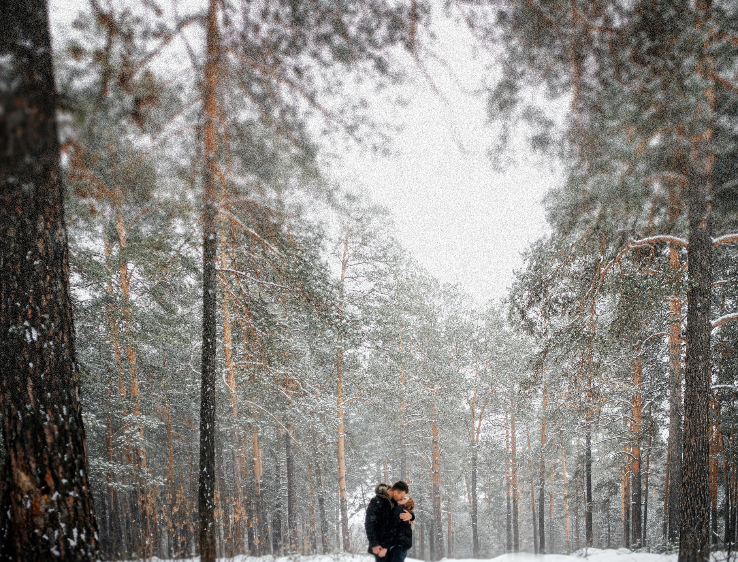 Савелий_Яна. Свадебный и семейный фотограф Барнаул Рубцовск Бийск Алтайский край