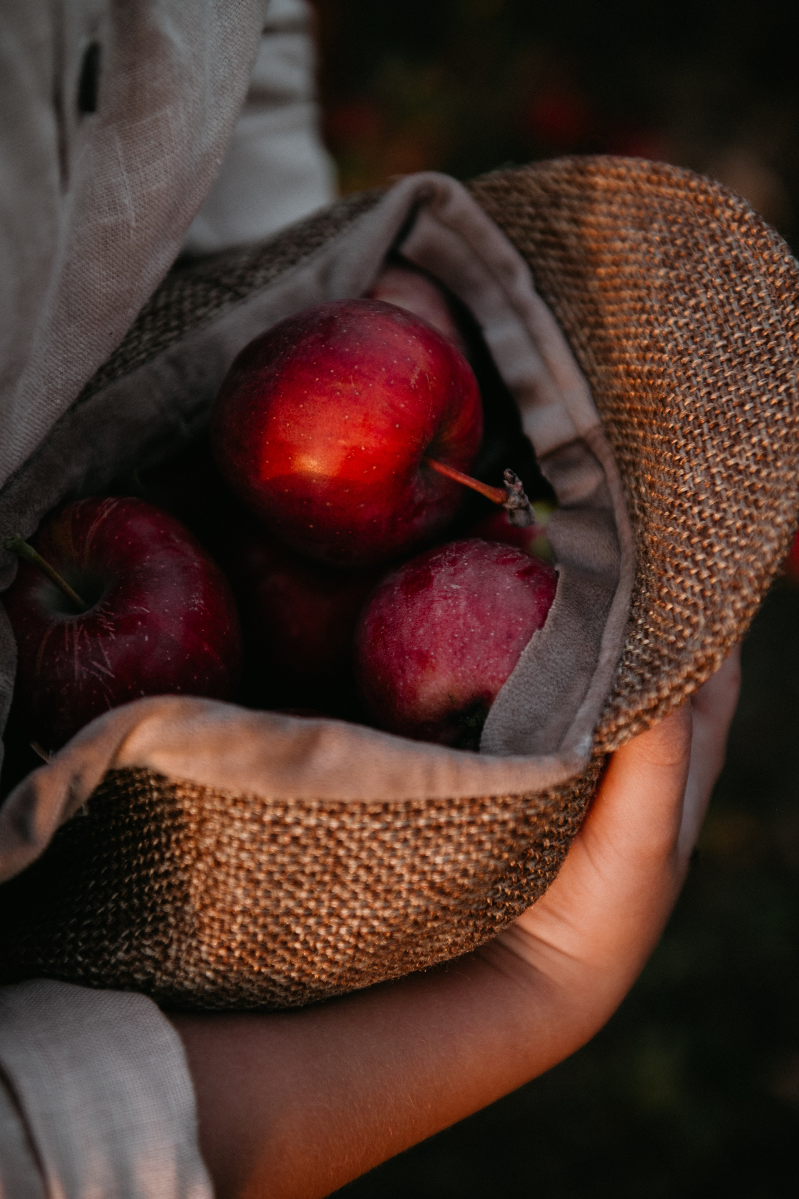 Семейные съёмки. Детский и семейный фотограф в Армавире Даша Зубкова