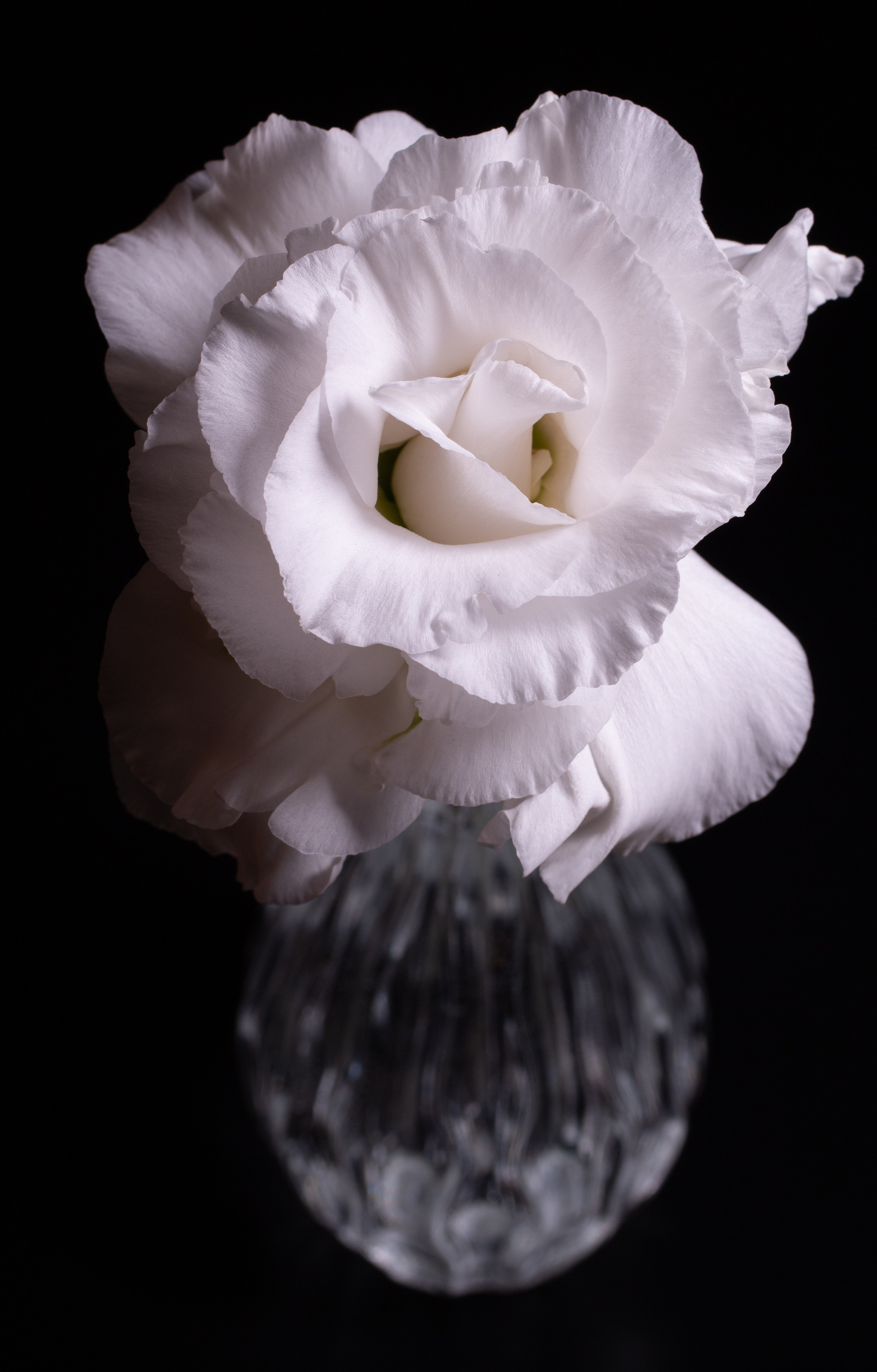 Макро. Фотографирую мир