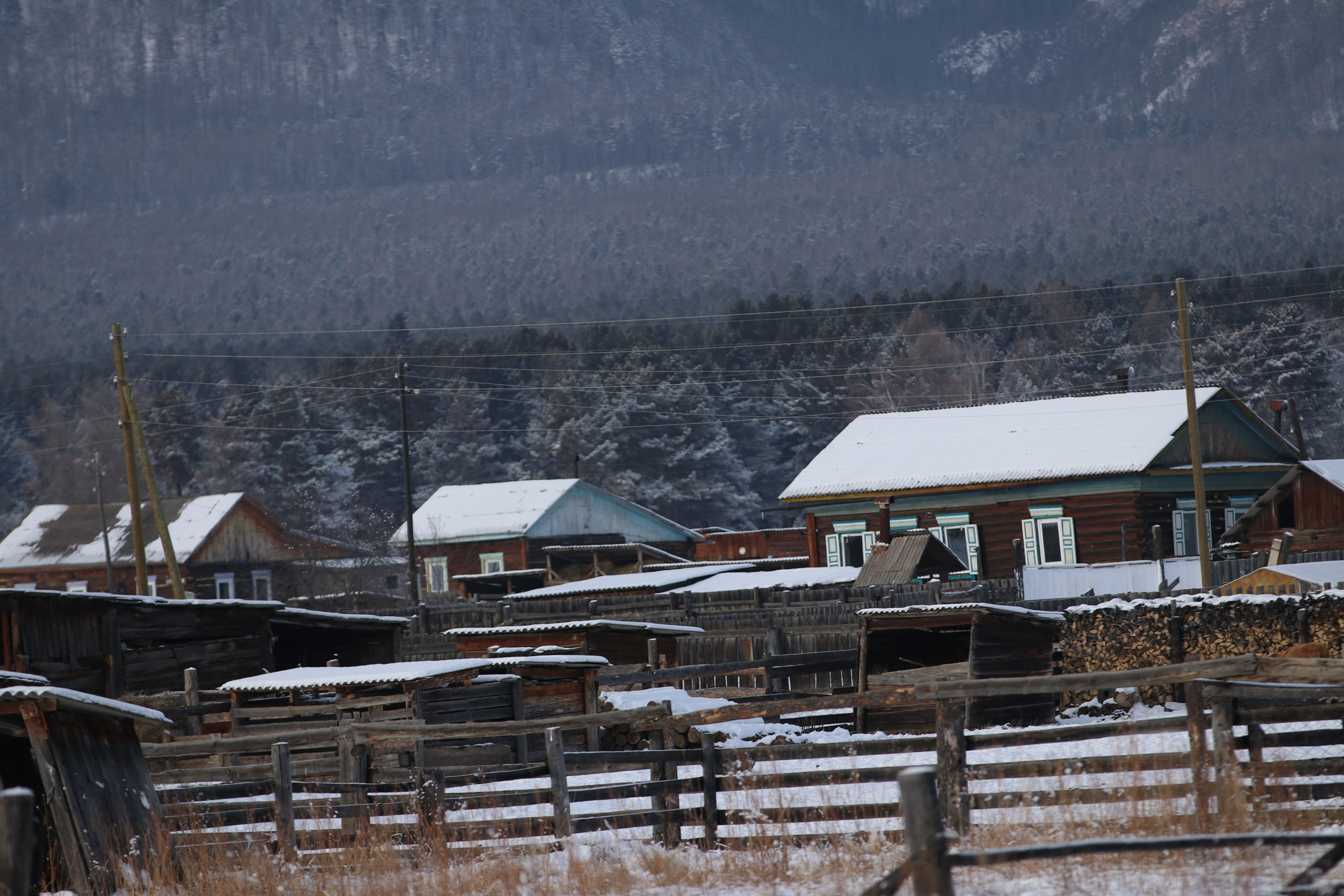 Аршан. Январь 2024. Путешественник-фотограф из Санкт-Петербурга Татьяна Свистулина