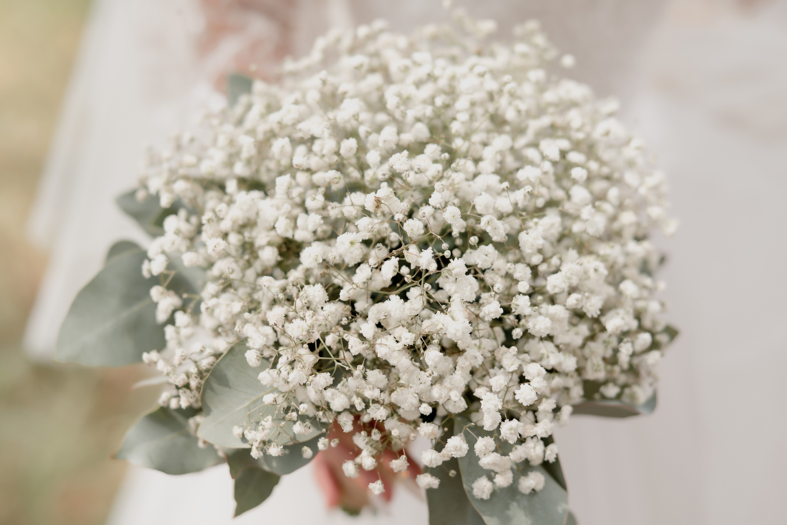 Настя и Гена. Юля Федоровская. Свадебный и семейный фотограф в Москве