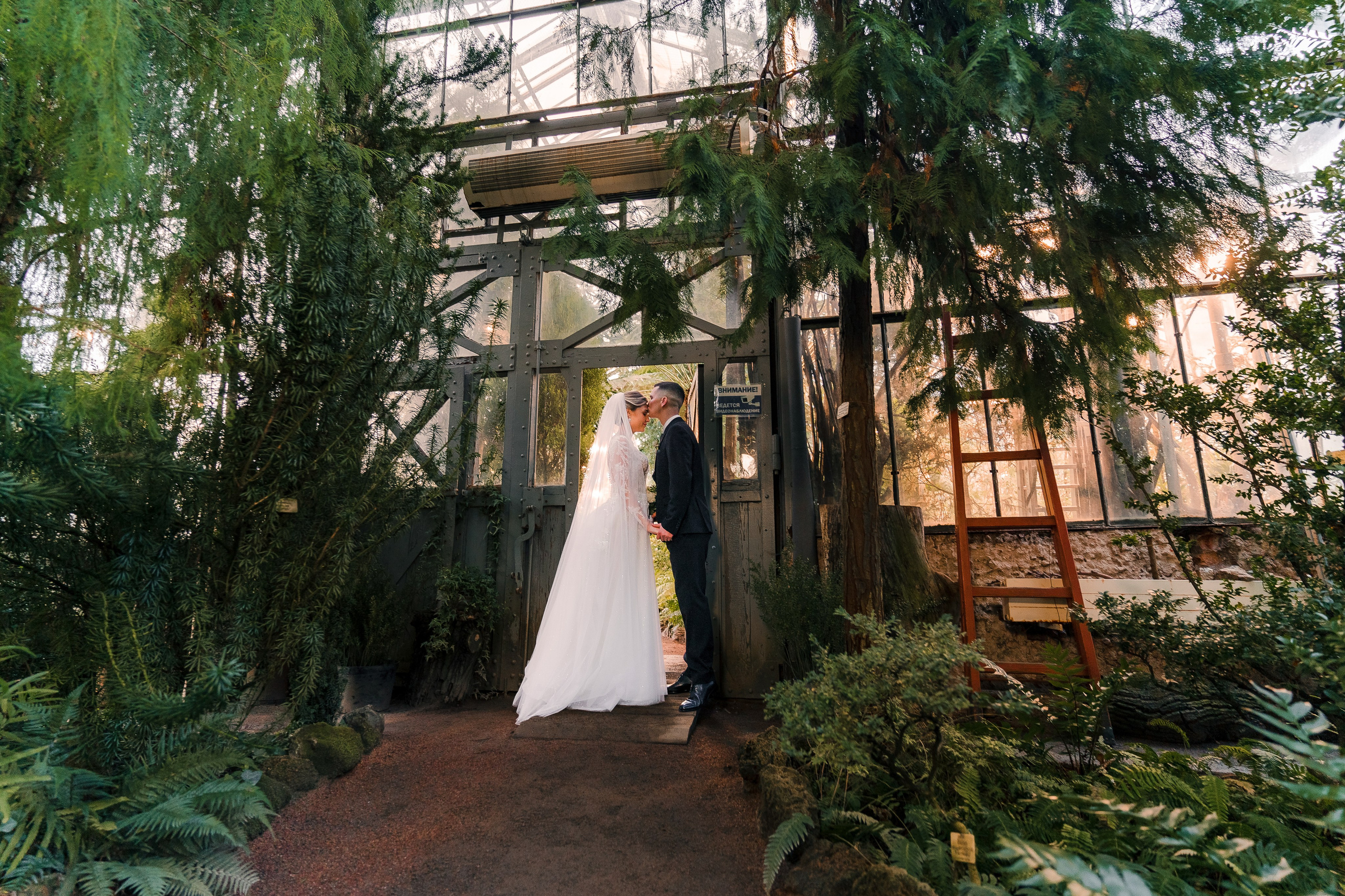 Евгений + Елена