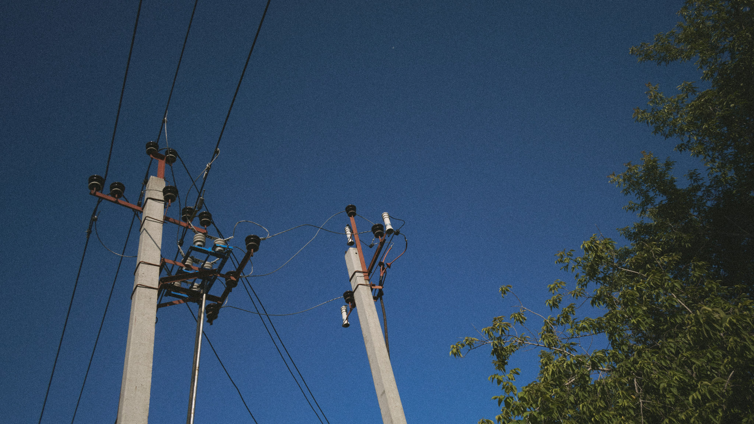 Наблюдения. Семейный фотограф в Новосибирске Артём Кузнецов