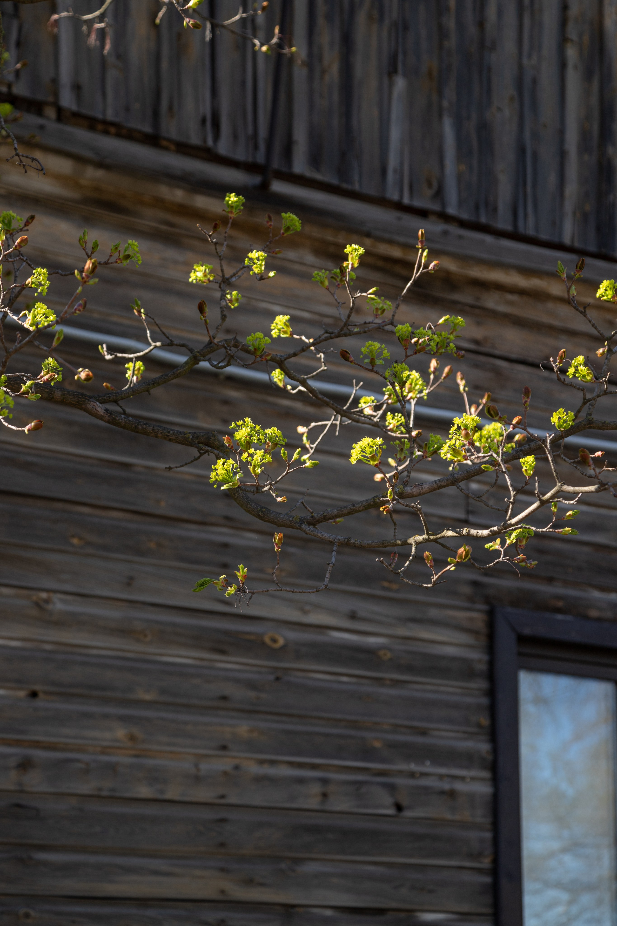 Сортавала. Интерьерный и архитектурный фотограф Солодова Алина