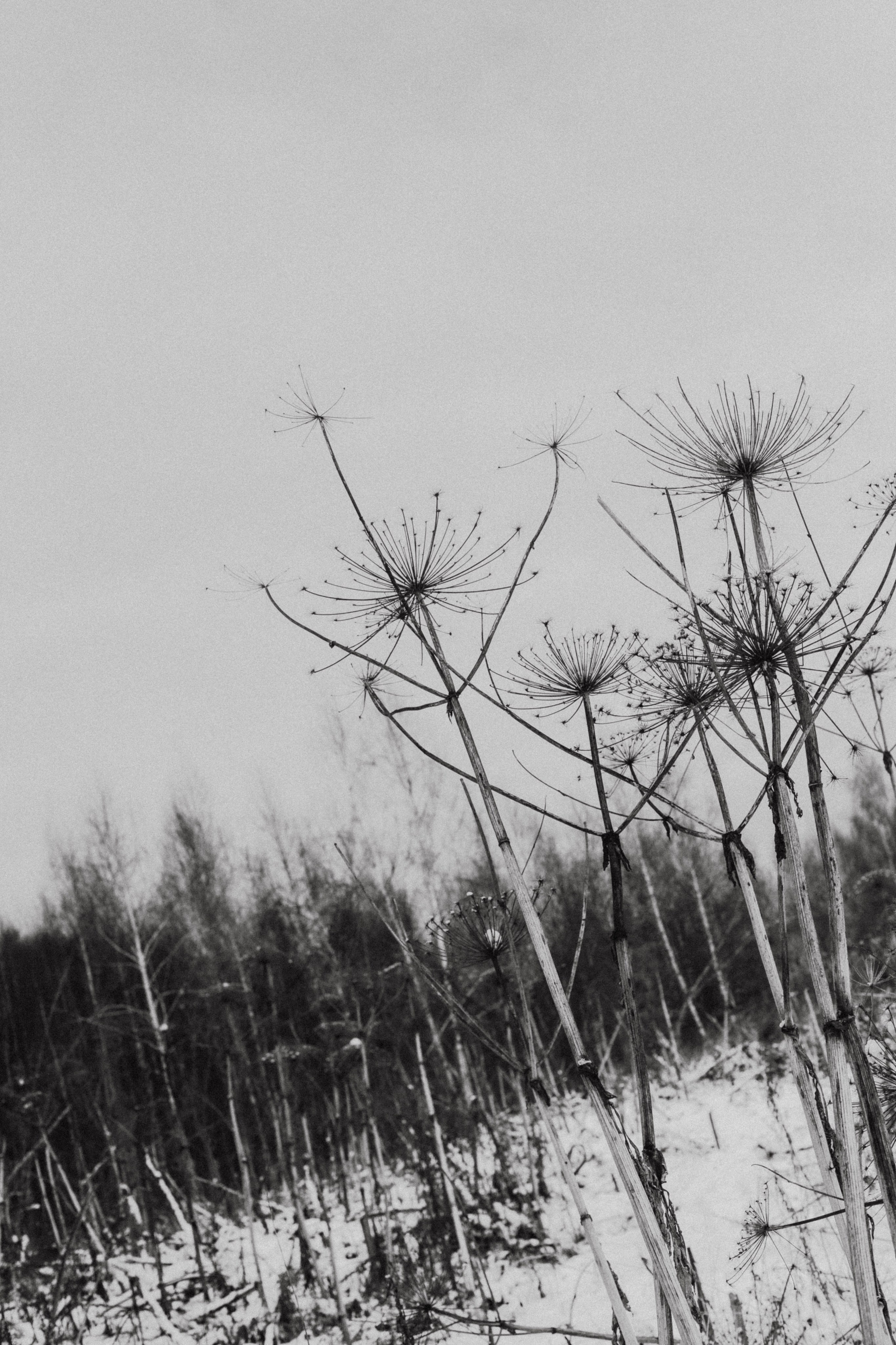 АНя+ Ваня. Фотограф в Нижнем Новгороде