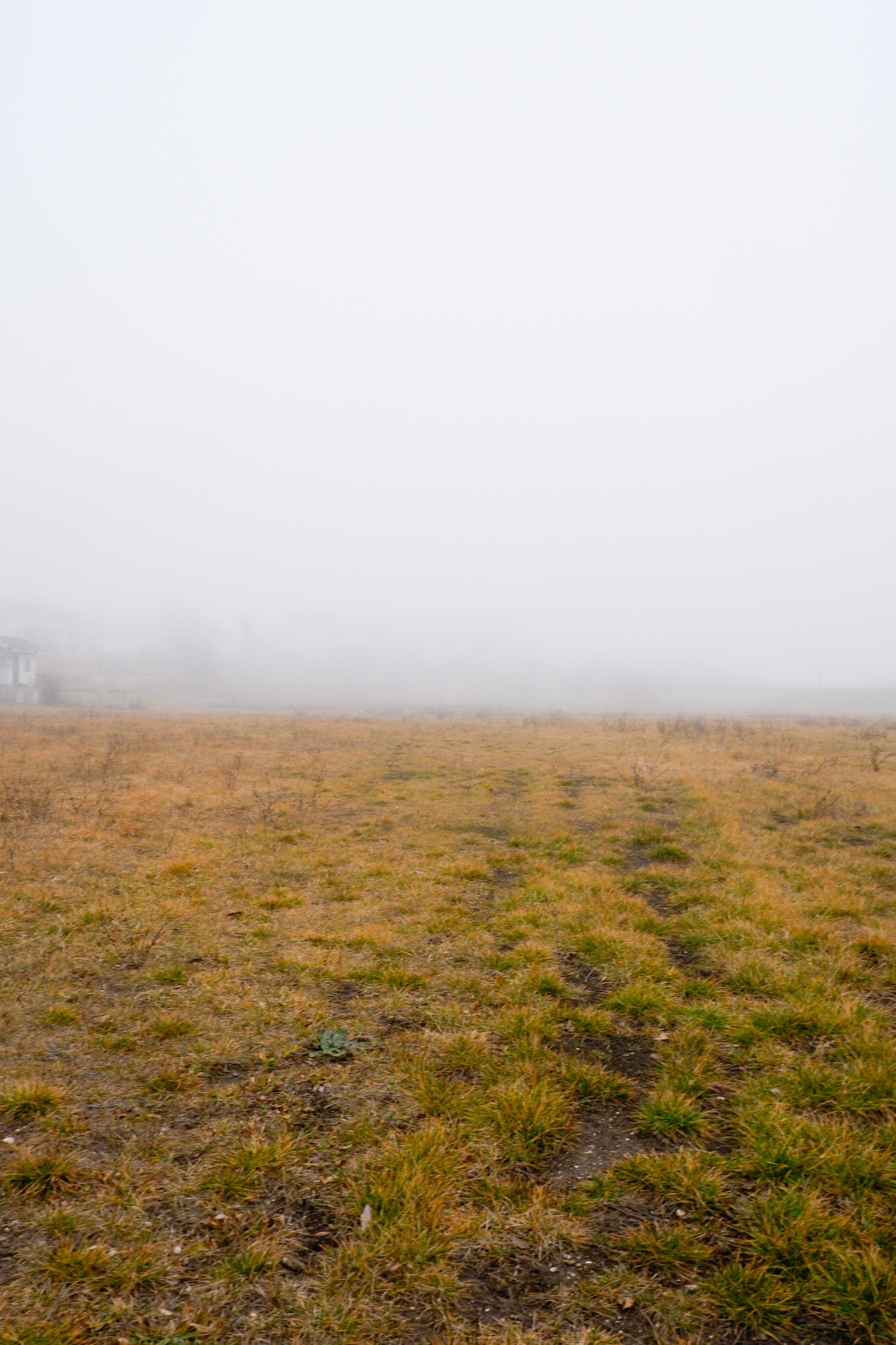 Тишина. Documentary photographer