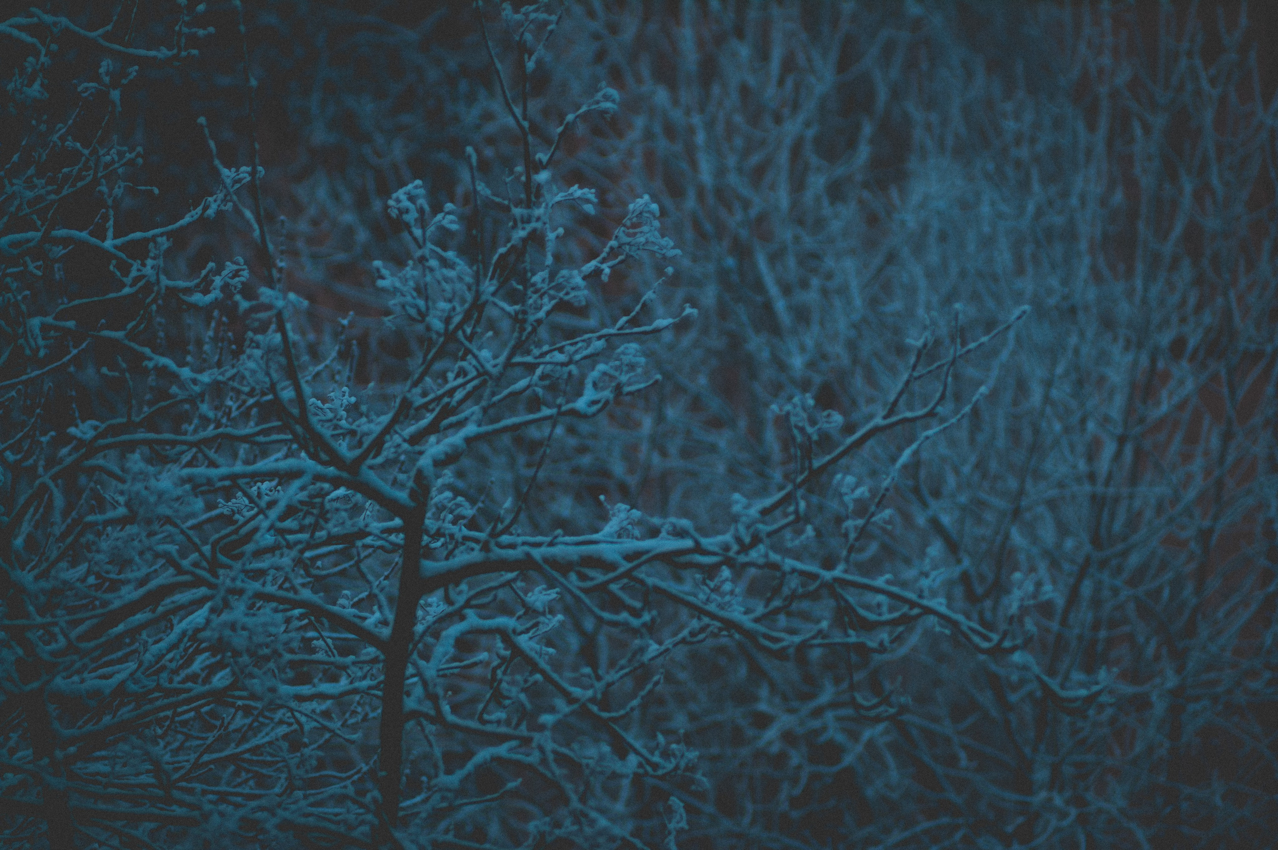 Опоздали на вечеринку. Den Mirov — Фотограф, Музыкант