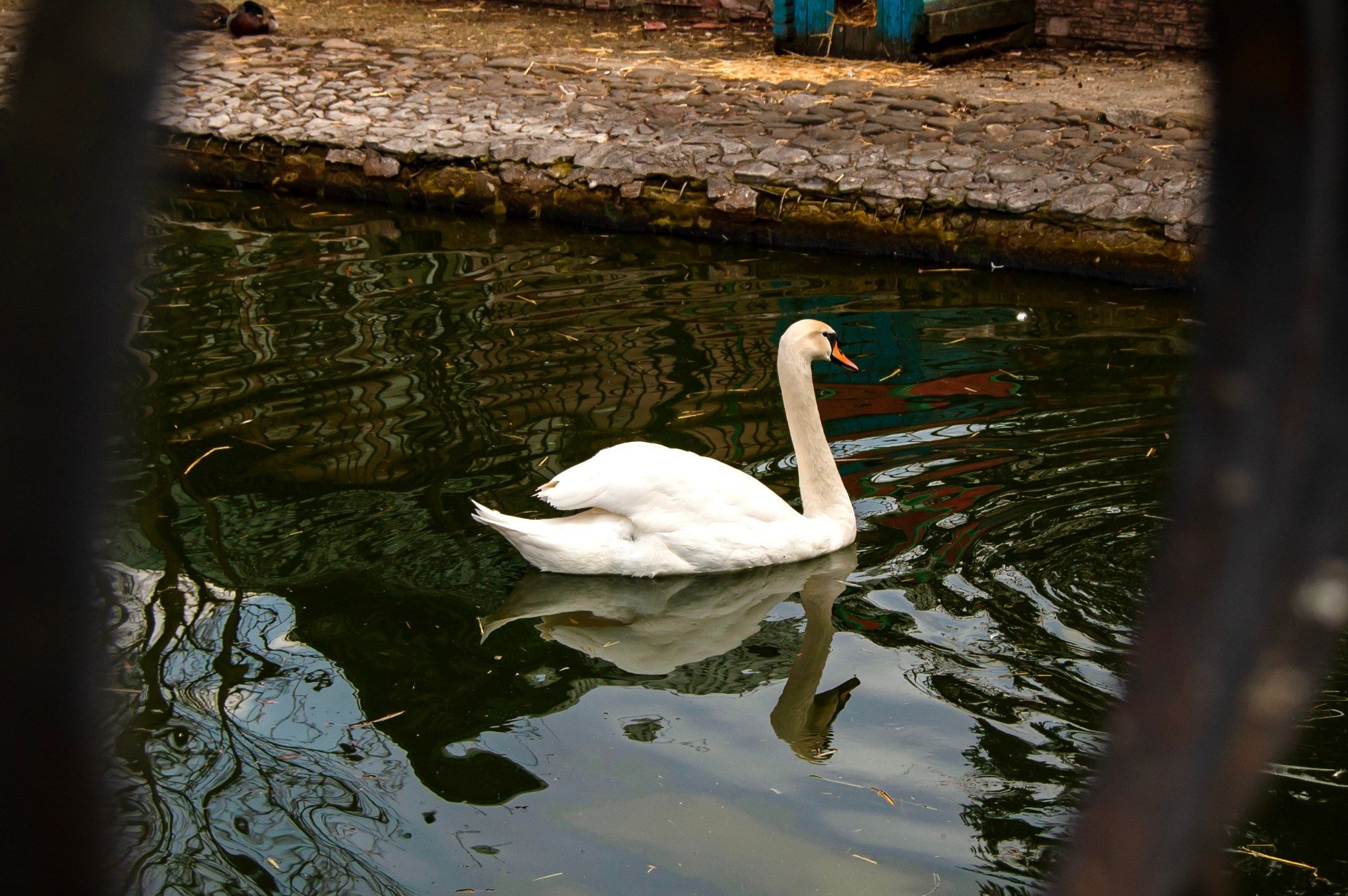 Репортажная съёмка 2 «В» класса СОШ № 11 в Краснодаре. Портретный фотограф в Краснодаре Слава Никитин