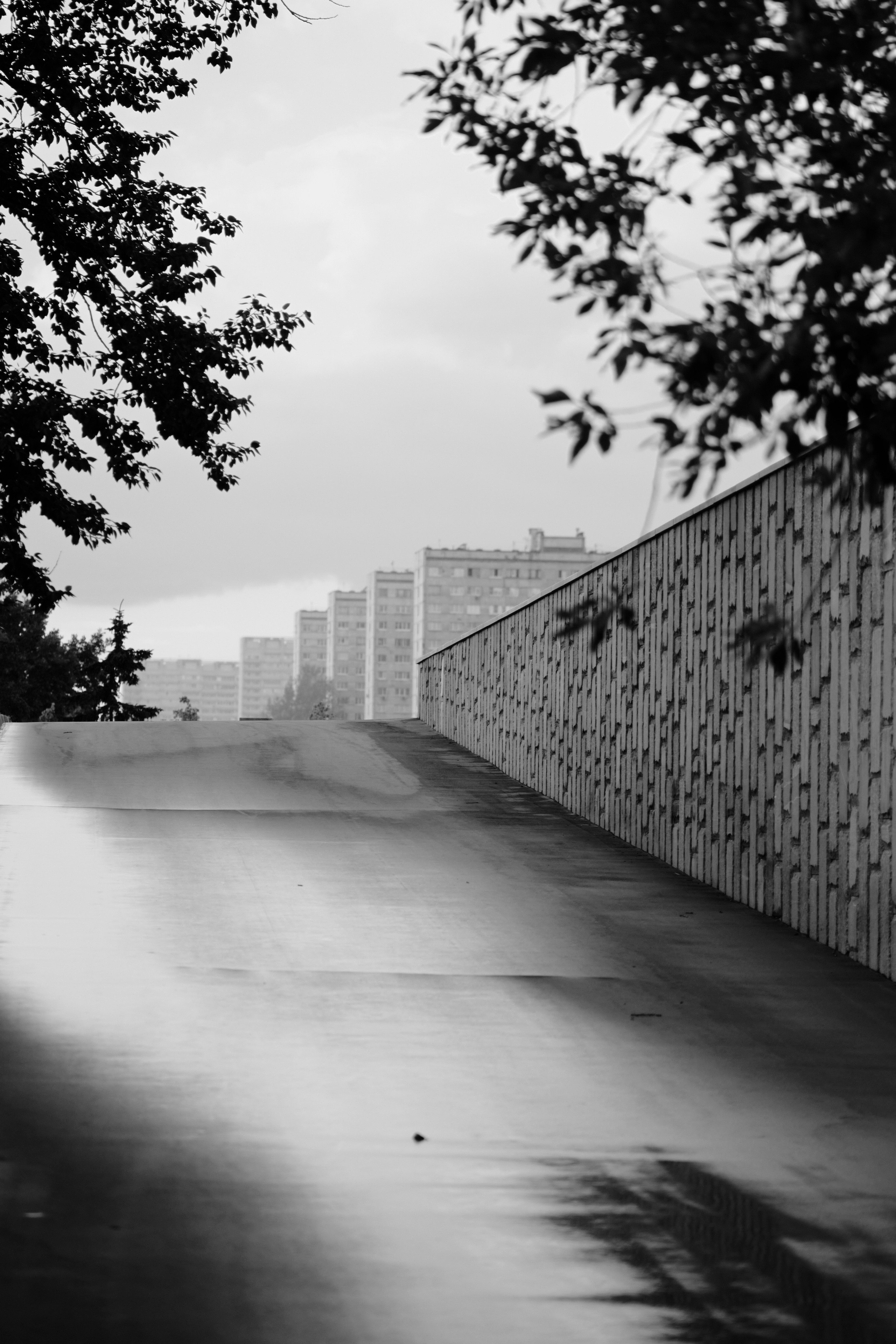 Other. Dmitry Ippolitov