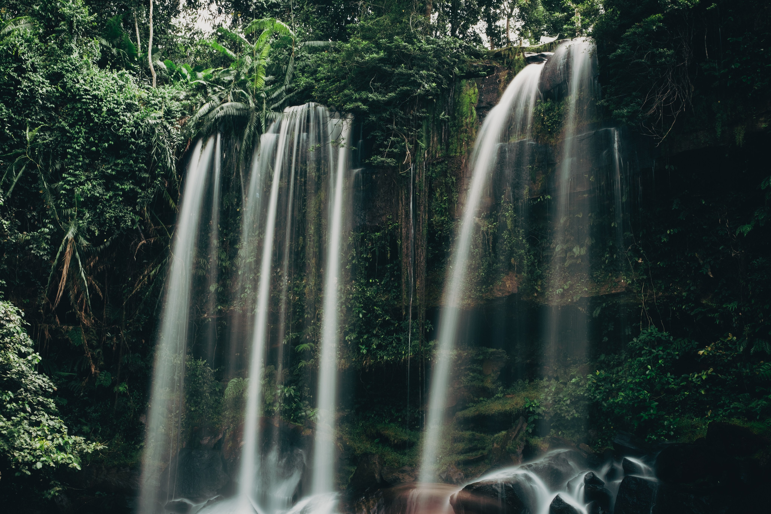 Cambodia. Dmitry Ippolitov