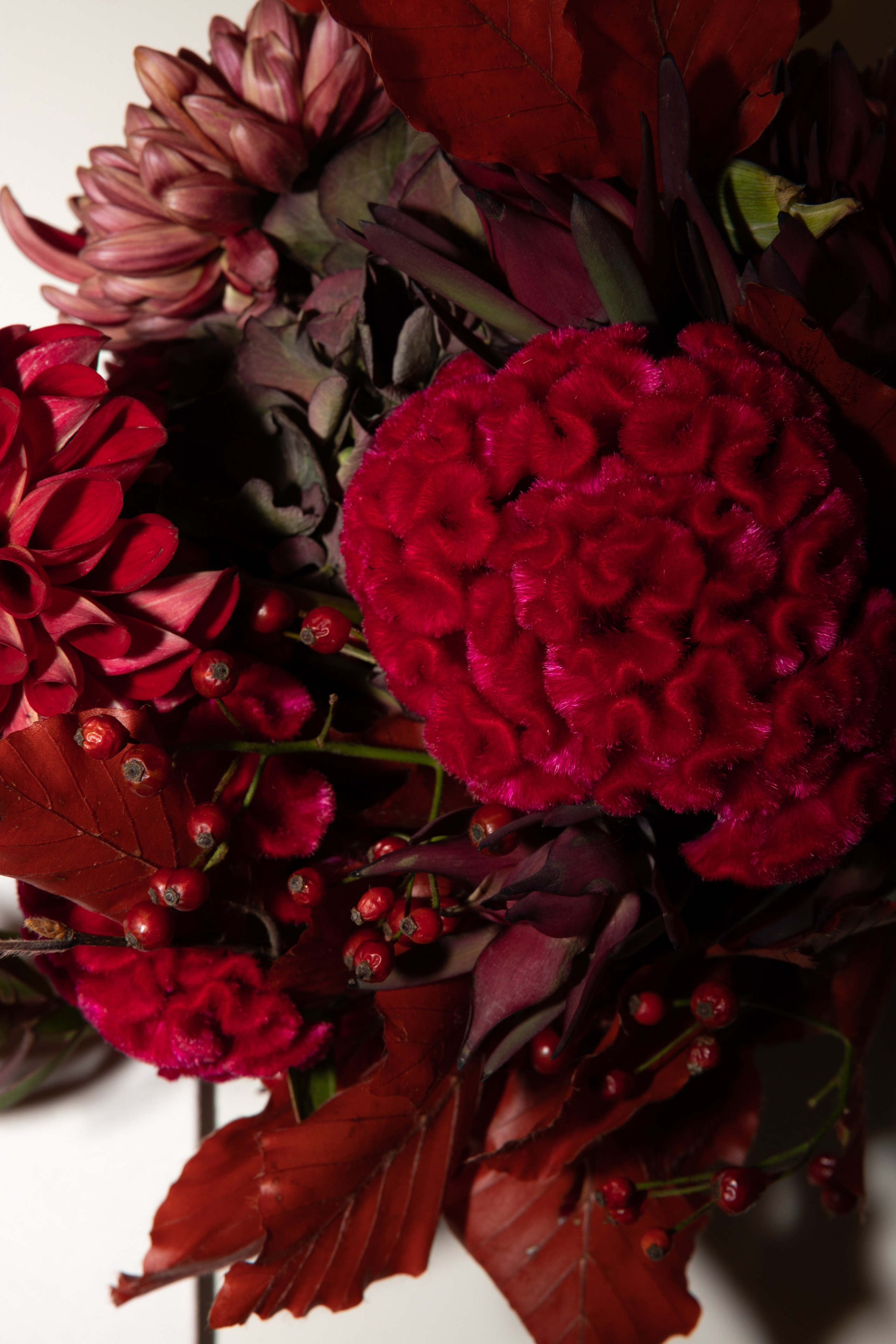 Илья и Виктория. Фотограф Тюмень Пушковская Кристина