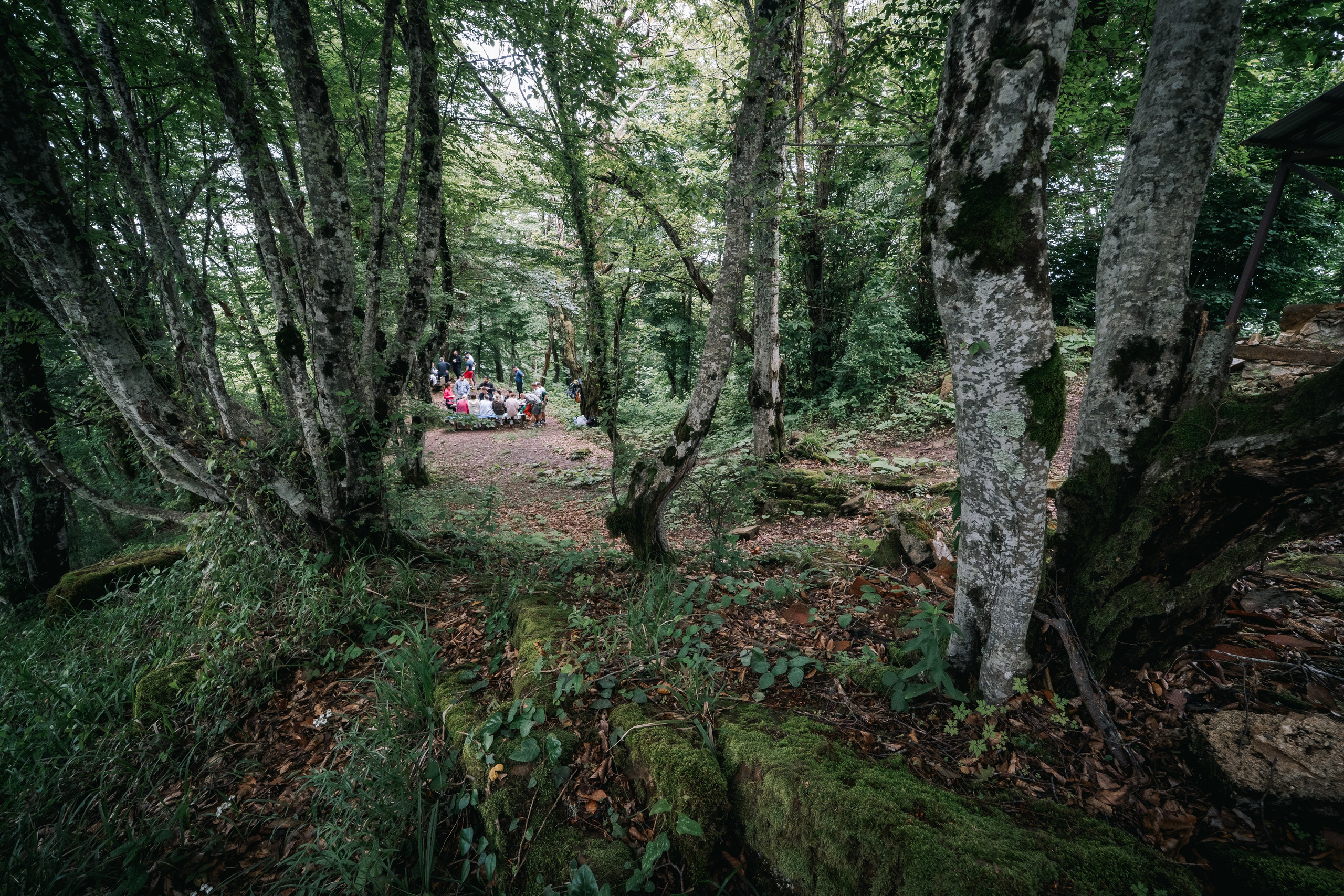 Лагерь предпринимателей DROCamp в Сочи. Фотограф Александр Решня