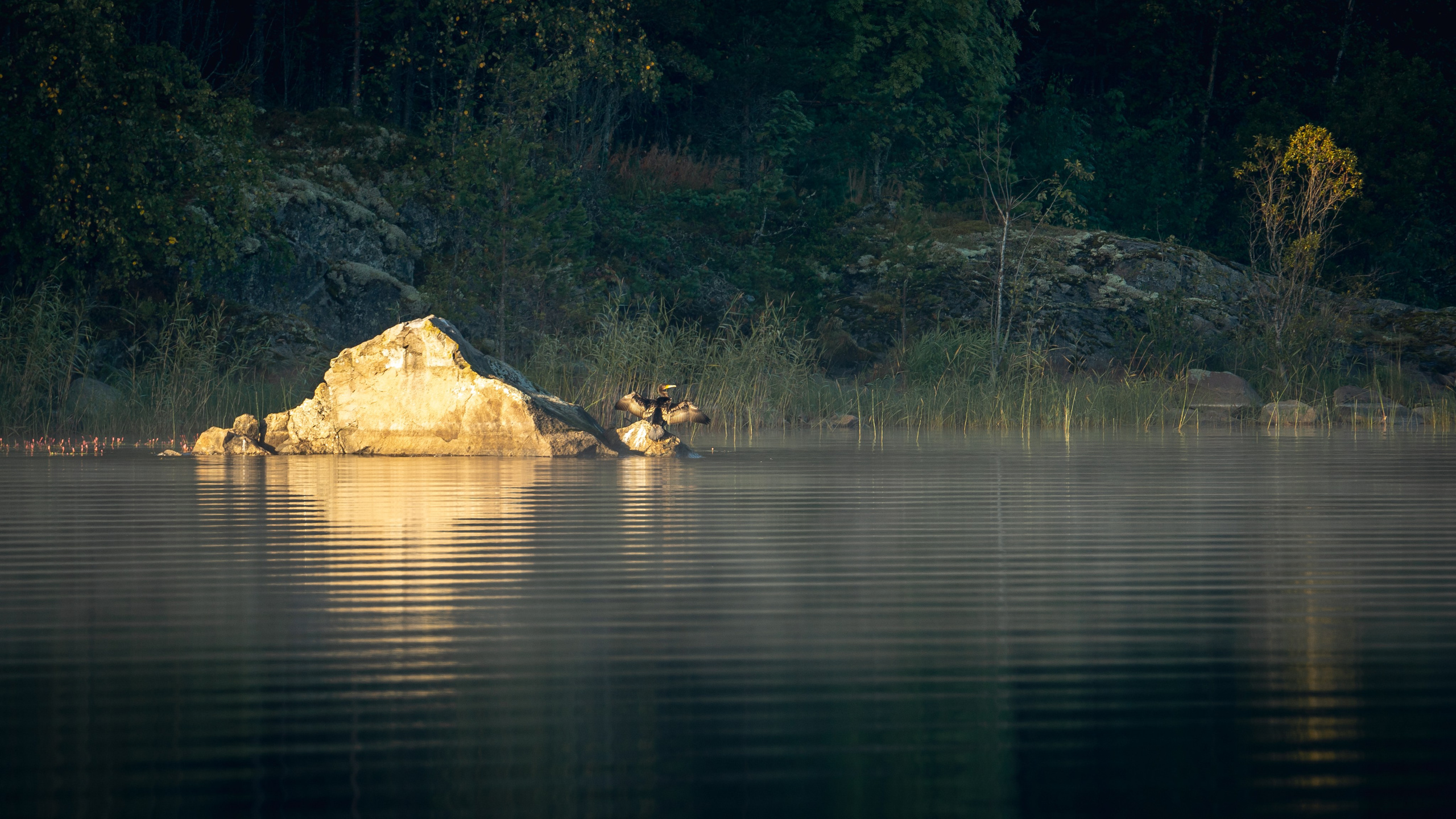 Ладога. Фотограф Александр Решня