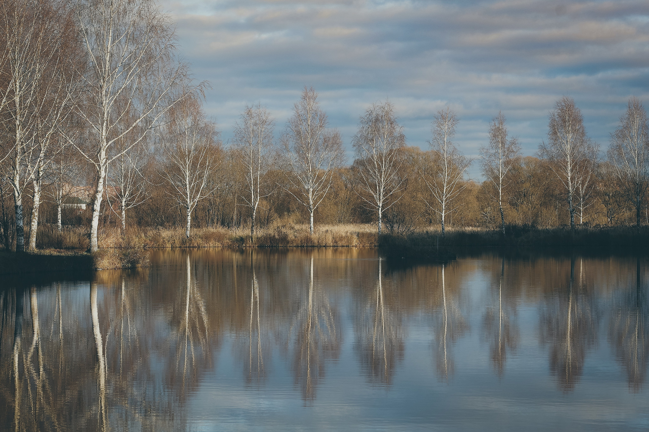 Профессиональный фотограф в Москве  Елена Фатьянова