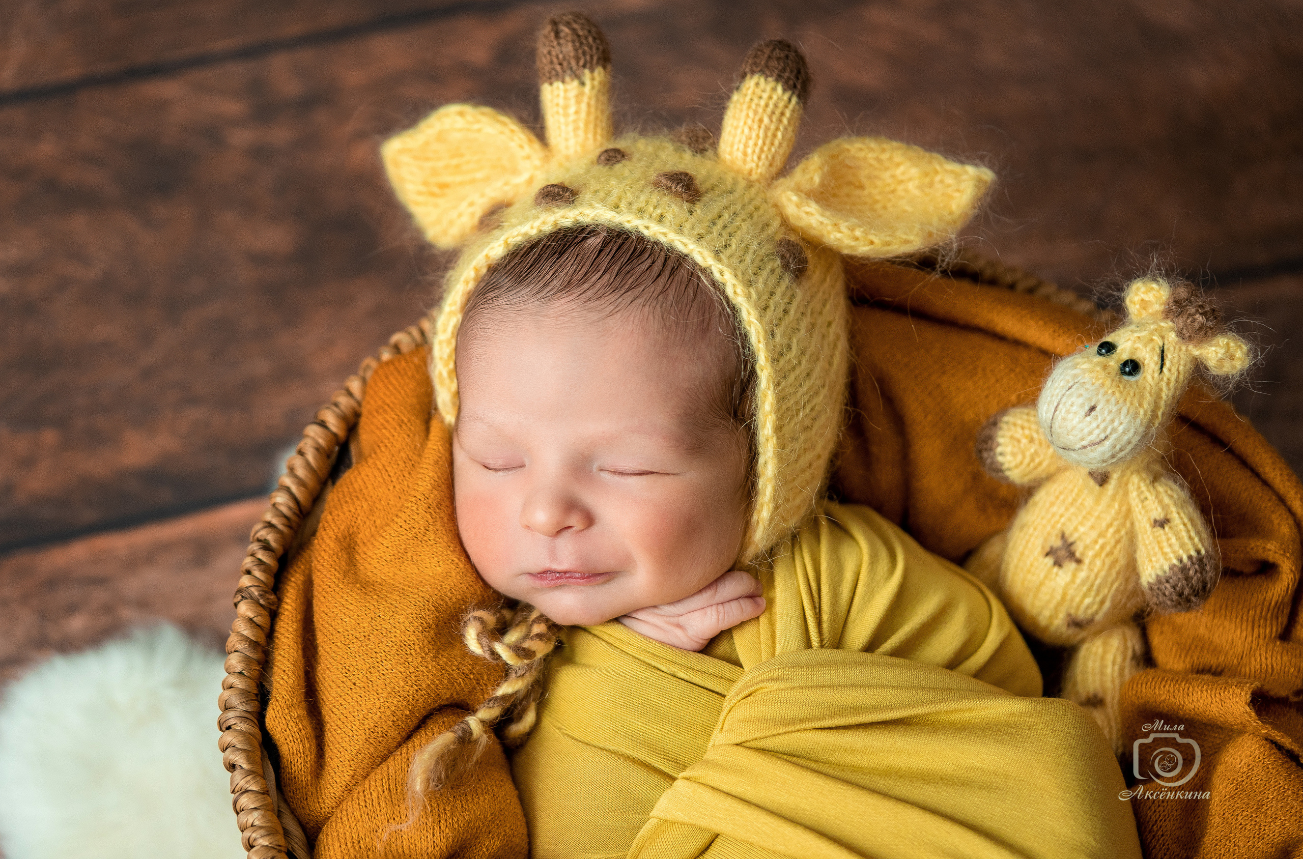 Портфолио новорожденных. Фотограф в Нефтеюганске Мила Аксёнкина