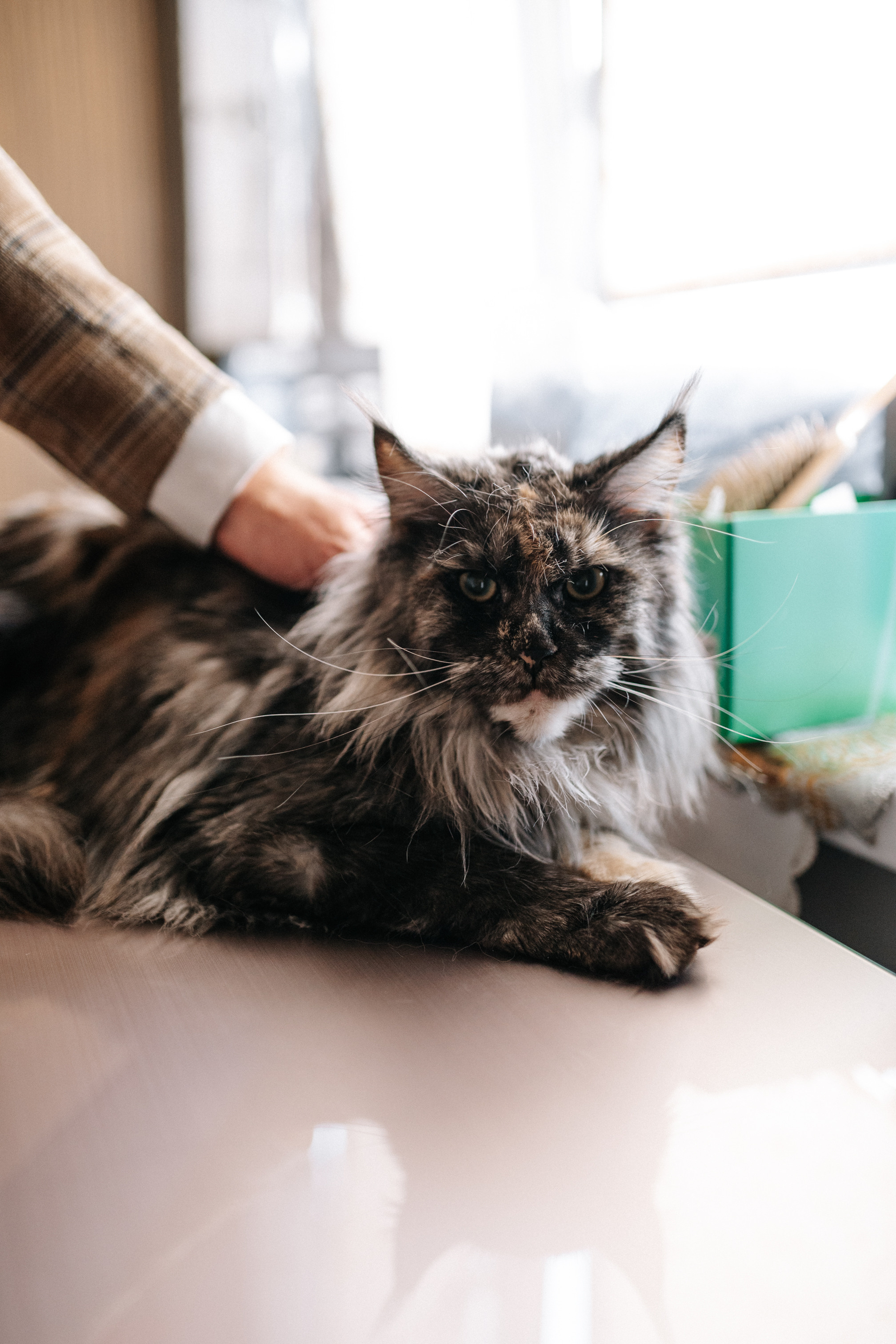 В&E. Свадебный и семейный фотограф в Коломне Мария Мусатова