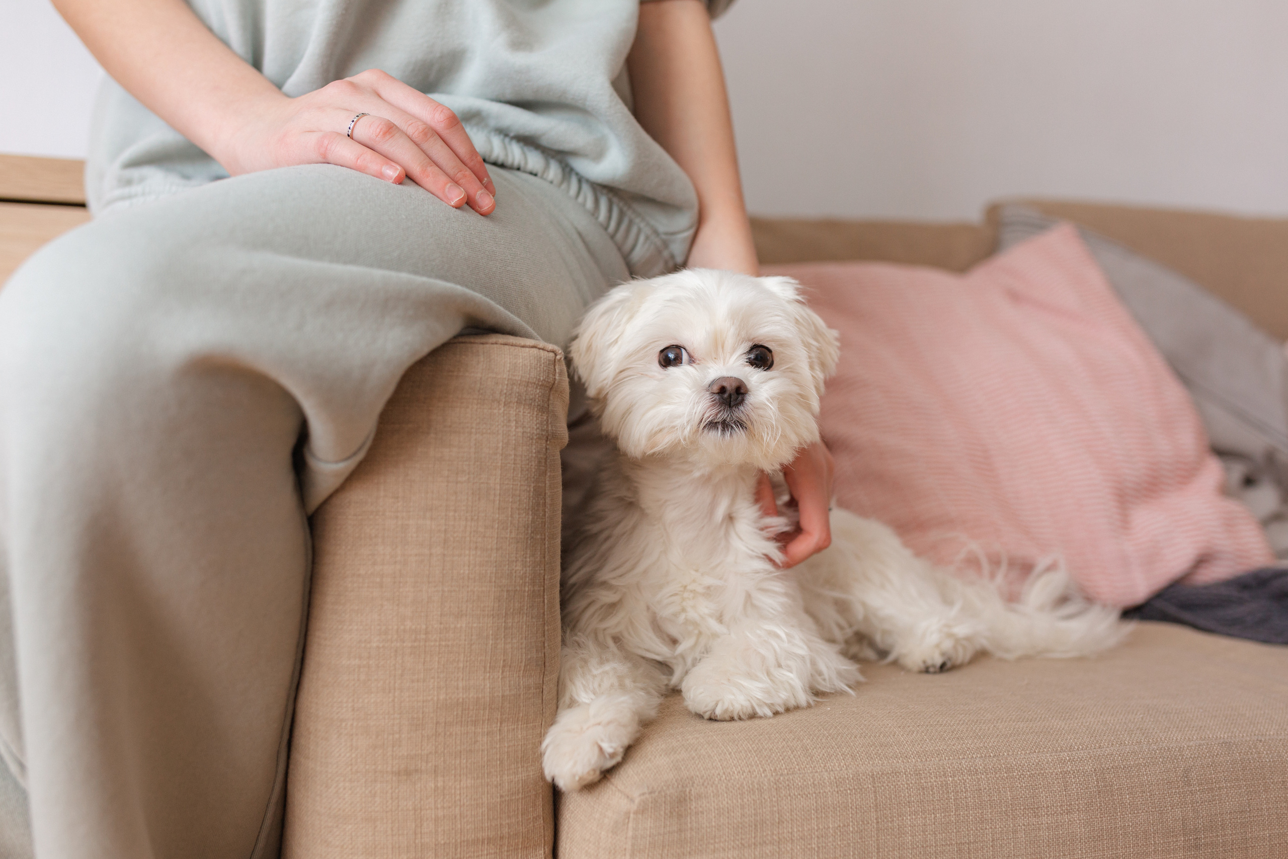 ФОТО-КОНТЕНТ ДЛЯ ПСИХОЛОГА. Семейный фотограф в Санкт-Петербурге Любовь Савкина
