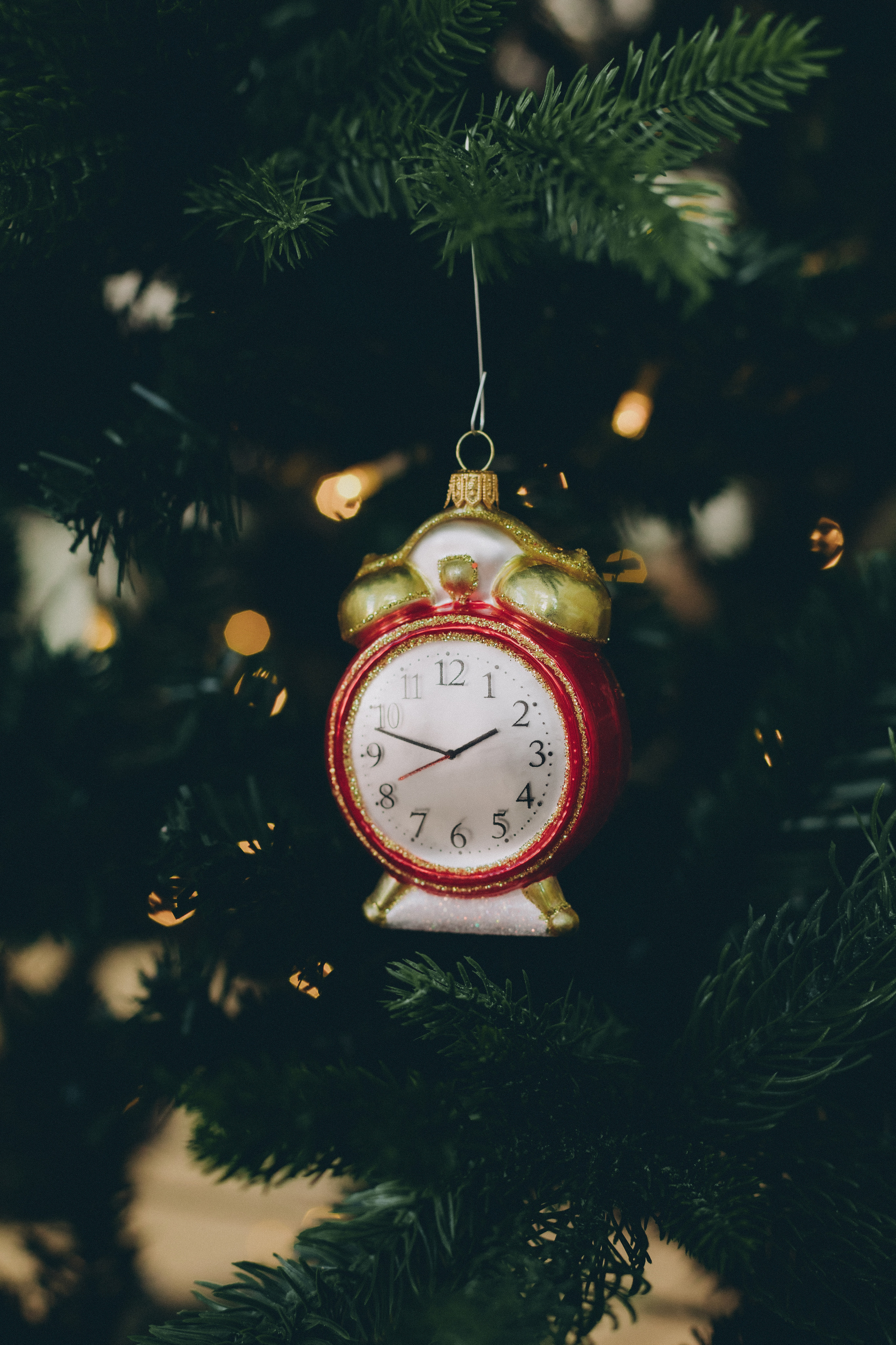 ФОТО-КОНТЕНТ ДЛЯ «ТВОЯ ЁЛОЧКА». Семейный фотограф в Санкт-Петербурге Любовь Савкина