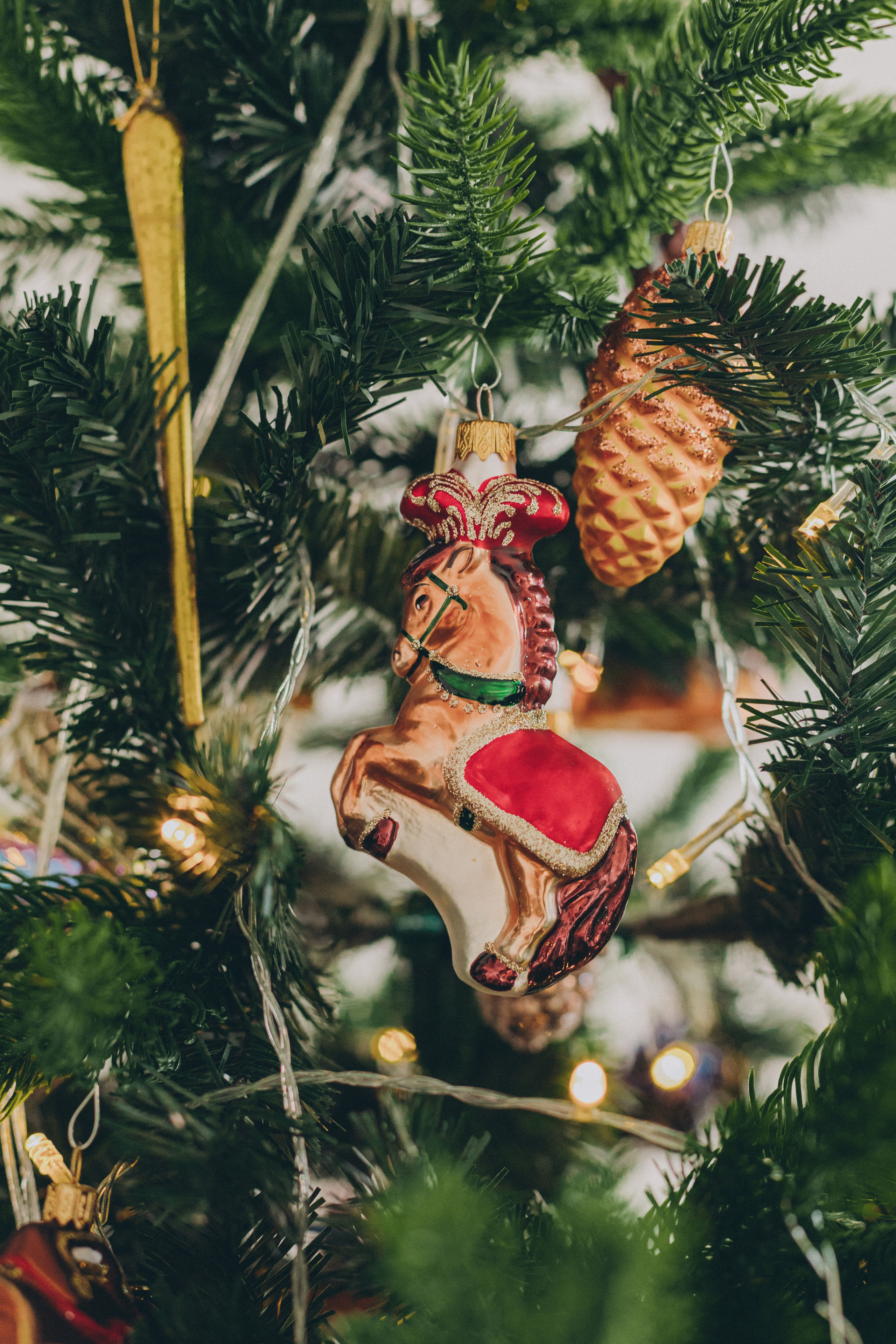 ФОТО-КОНТЕНТ ДЛЯ «ТВОЯ ЁЛОЧКА». Семейный фотограф в Санкт-Петербурге Любовь Савкина