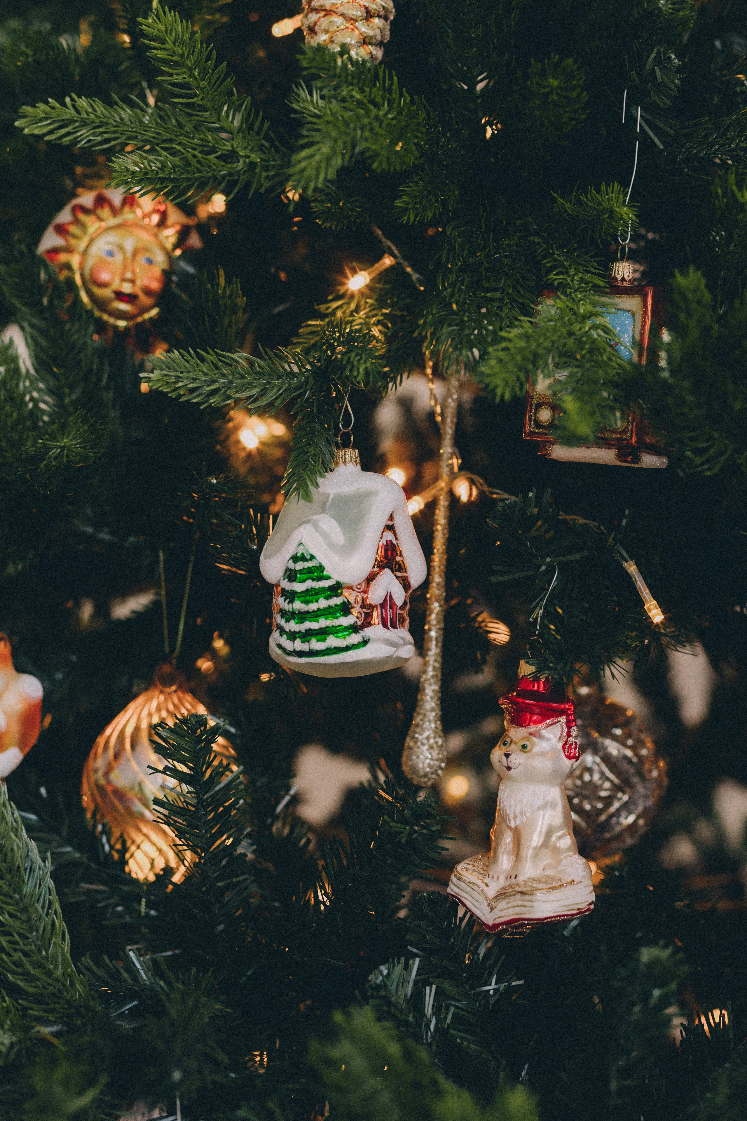 ФОТО-КОНТЕНТ ДЛЯ «ТВОЯ ЁЛОЧКА». Семейный фотограф в Санкт-Петербурге Любовь Савкина