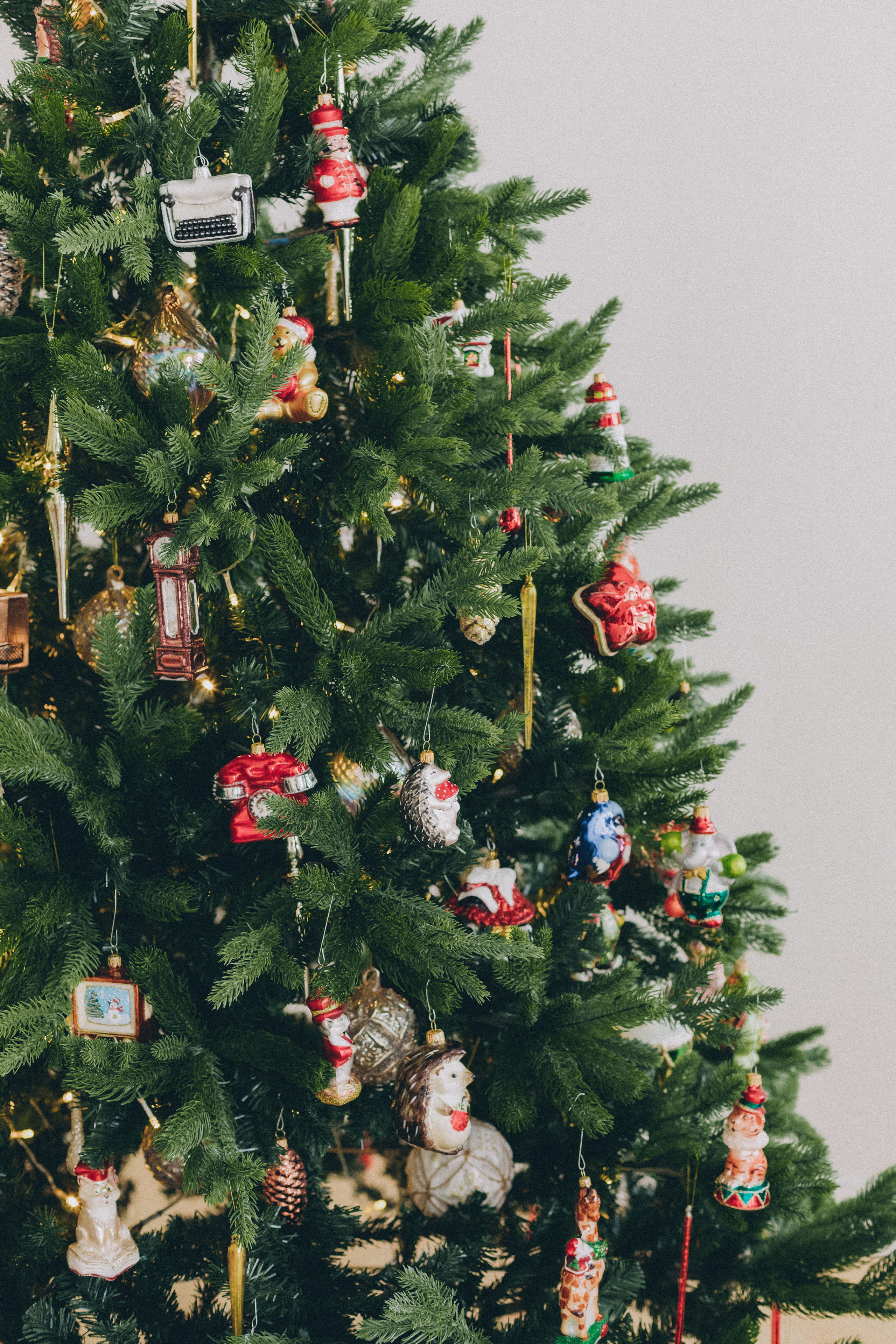 ФОТО-КОНТЕНТ ДЛЯ «ТВОЯ ЁЛОЧКА». Семейный фотограф в Санкт-Петербурге Любовь Савкина