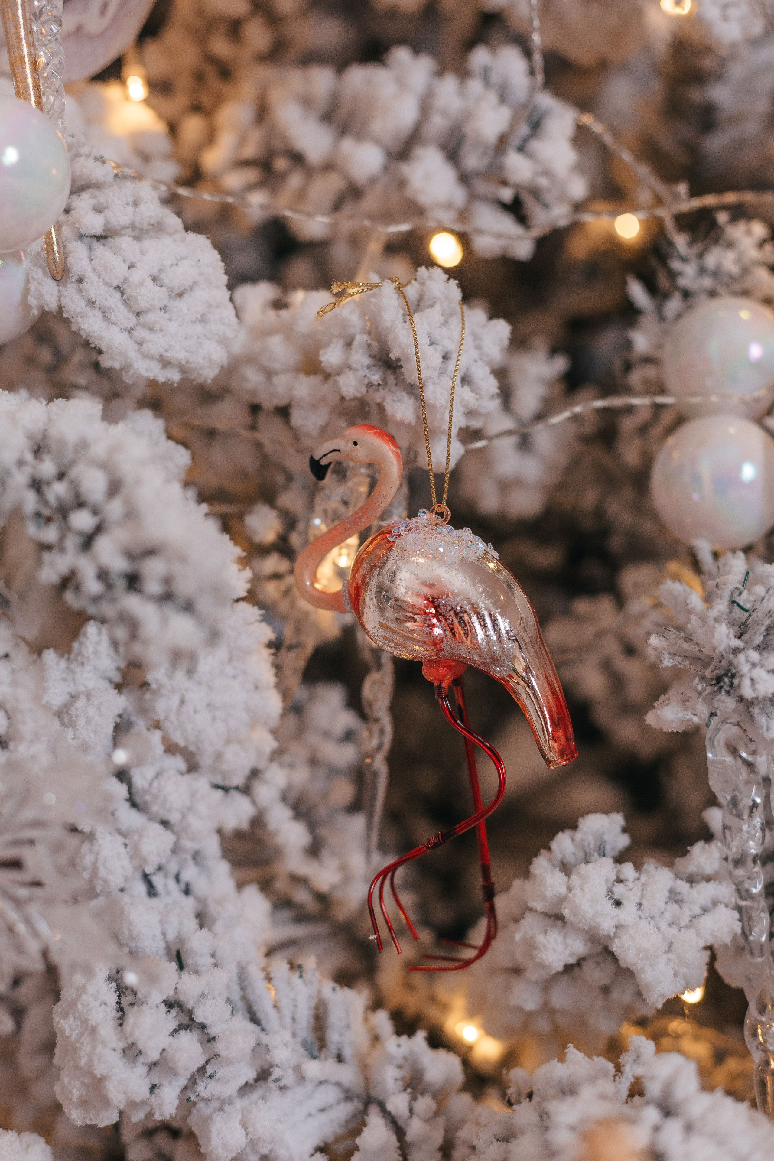 ФОТО-КОНТЕНТ ДЛЯ «ТВОЯ ЁЛОЧКА». Семейный фотограф в Санкт-Петербурге Любовь Савкина