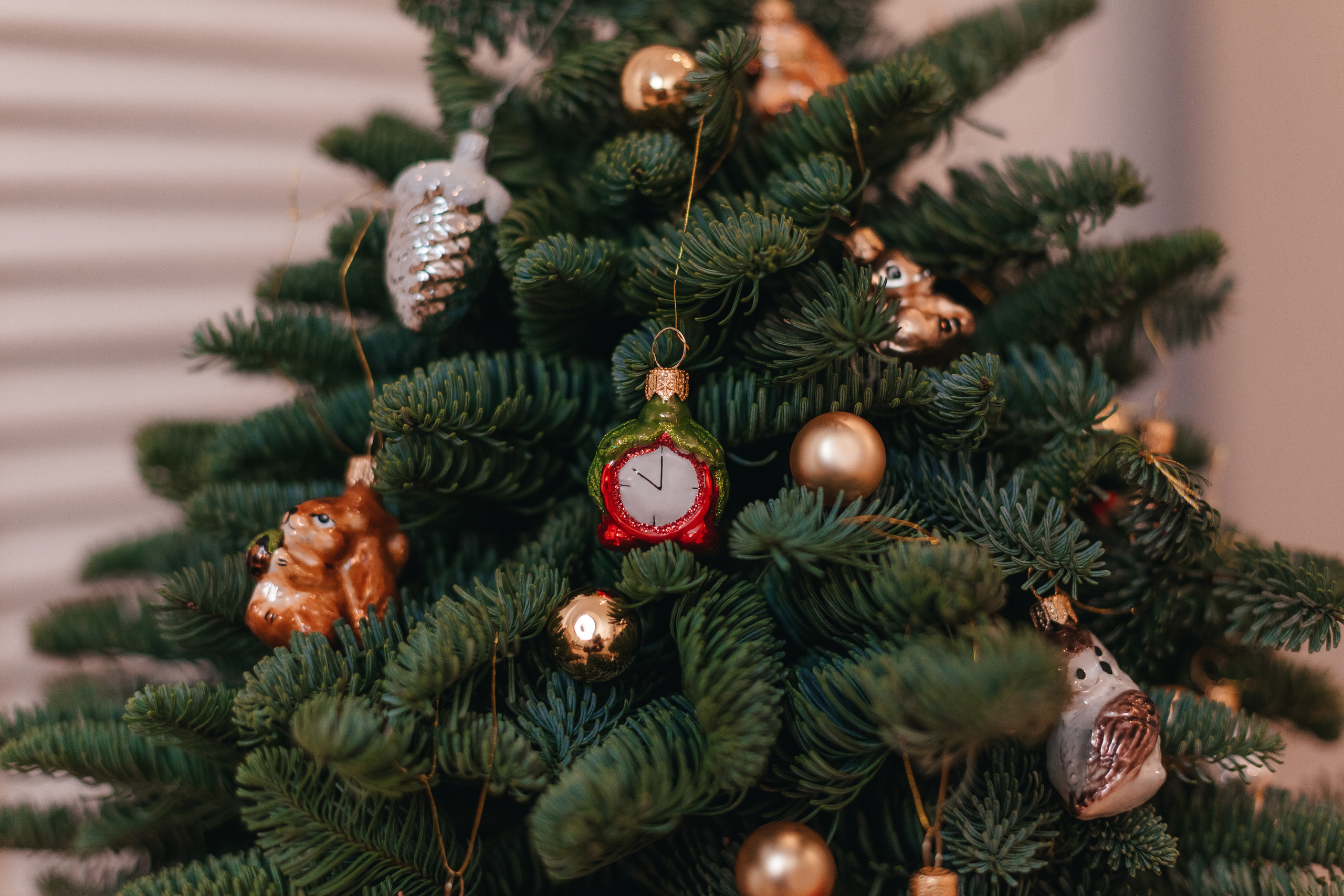 ФОТО-КОНТЕНТ ДЛЯ «ТВОЯ ЁЛОЧКА». Семейный фотограф в Санкт-Петербурге Любовь Савкина