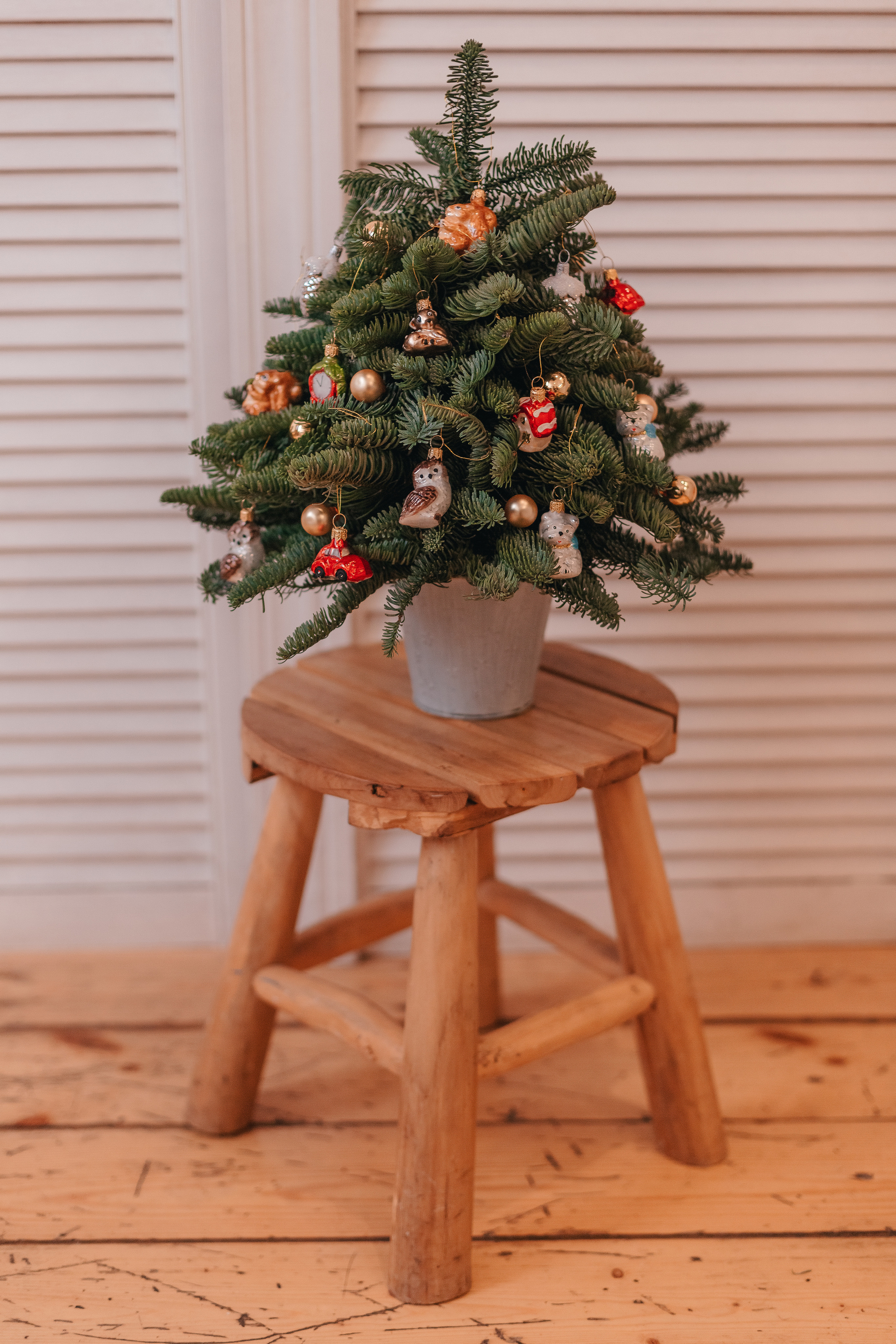 ФОТО-КОНТЕНТ ДЛЯ «ТВОЯ ЁЛОЧКА». Семейный фотограф в Санкт-Петербурге Любовь Савкина