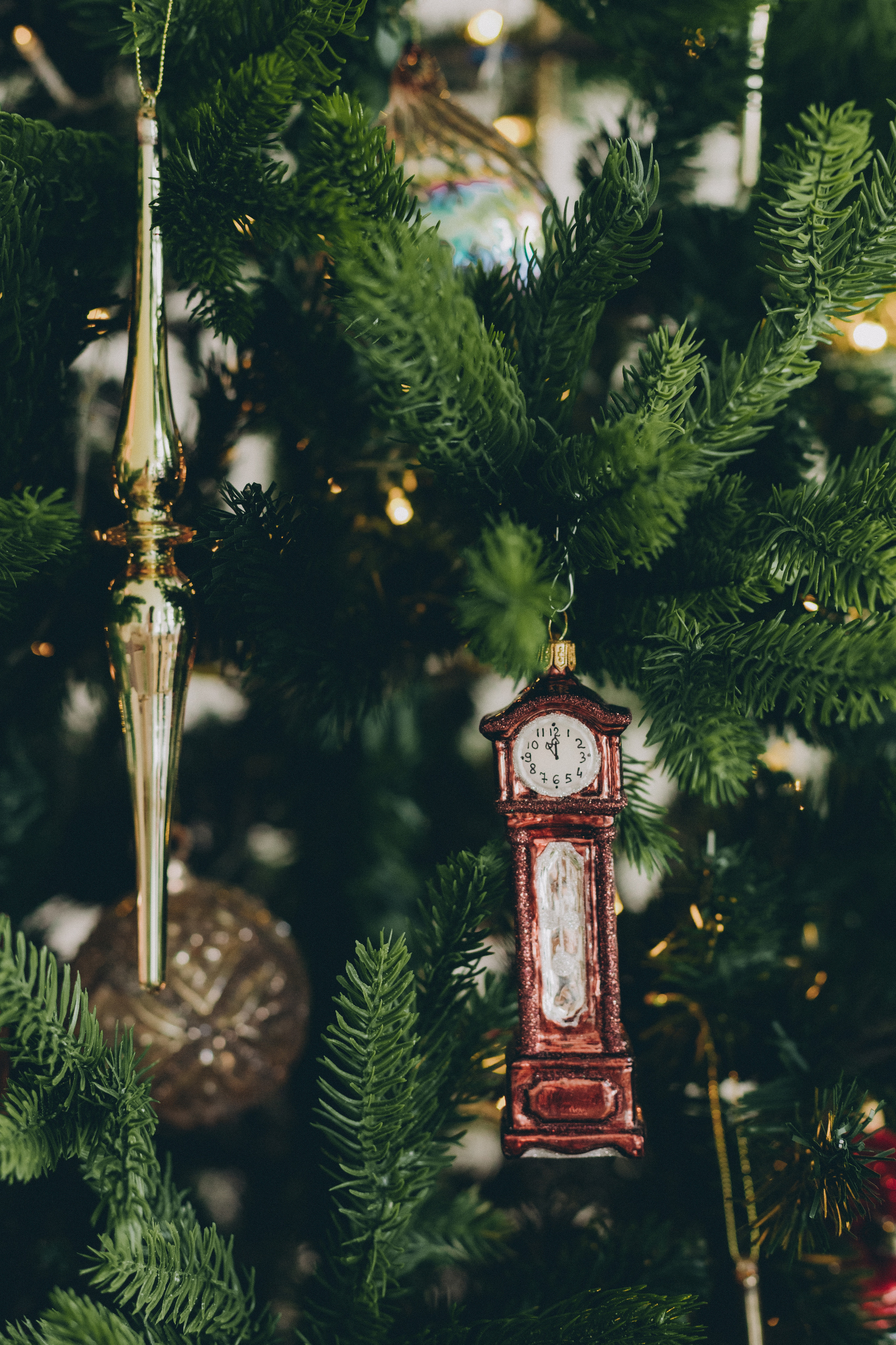 ФОТО-КОНТЕНТ ДЛЯ «ТВОЯ ЁЛОЧКА». Семейный фотограф в Санкт-Петербурге Любовь Савкина