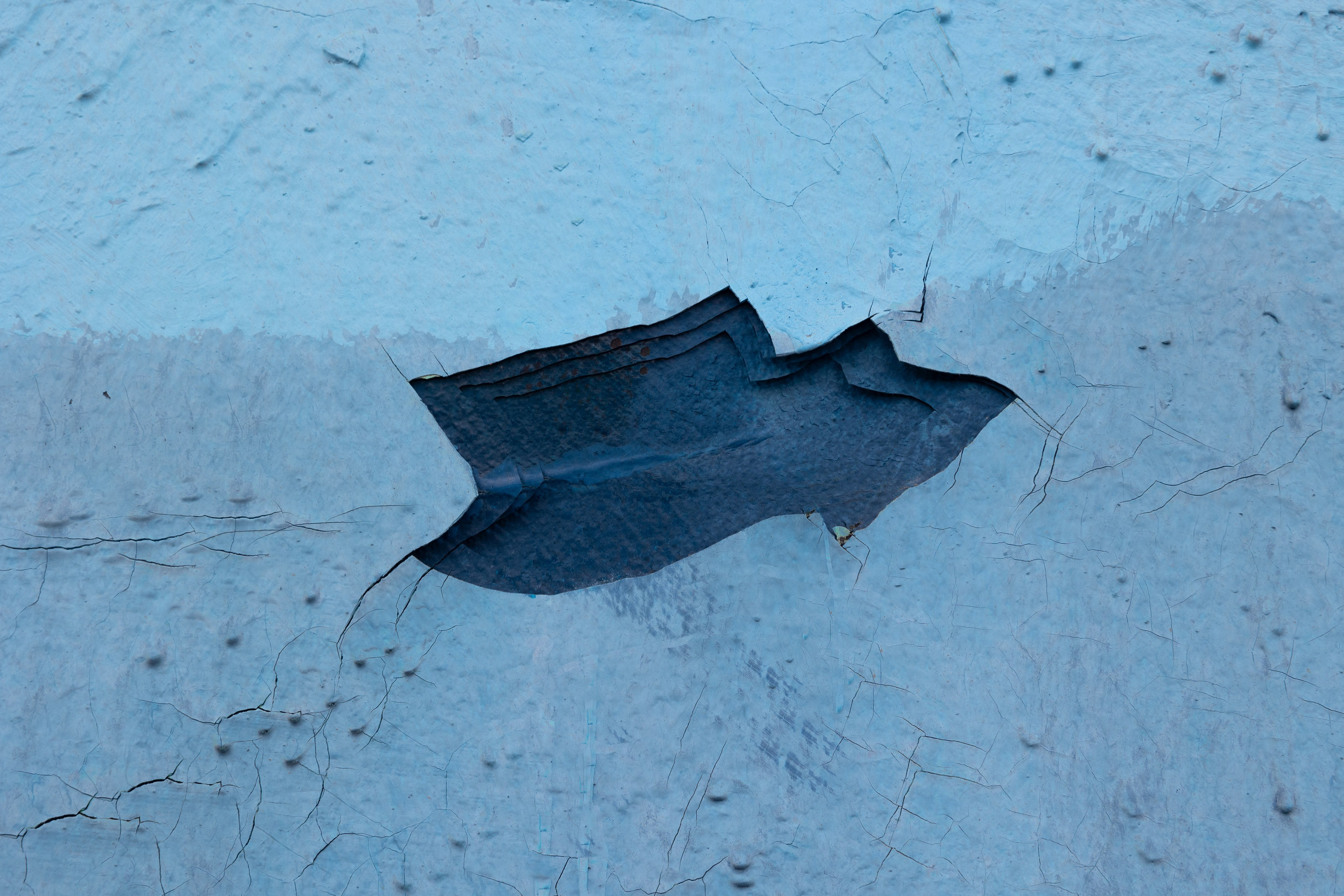 Art prints. Фотограф алина стерхова, алина стерхова фотограф, фотограф москва