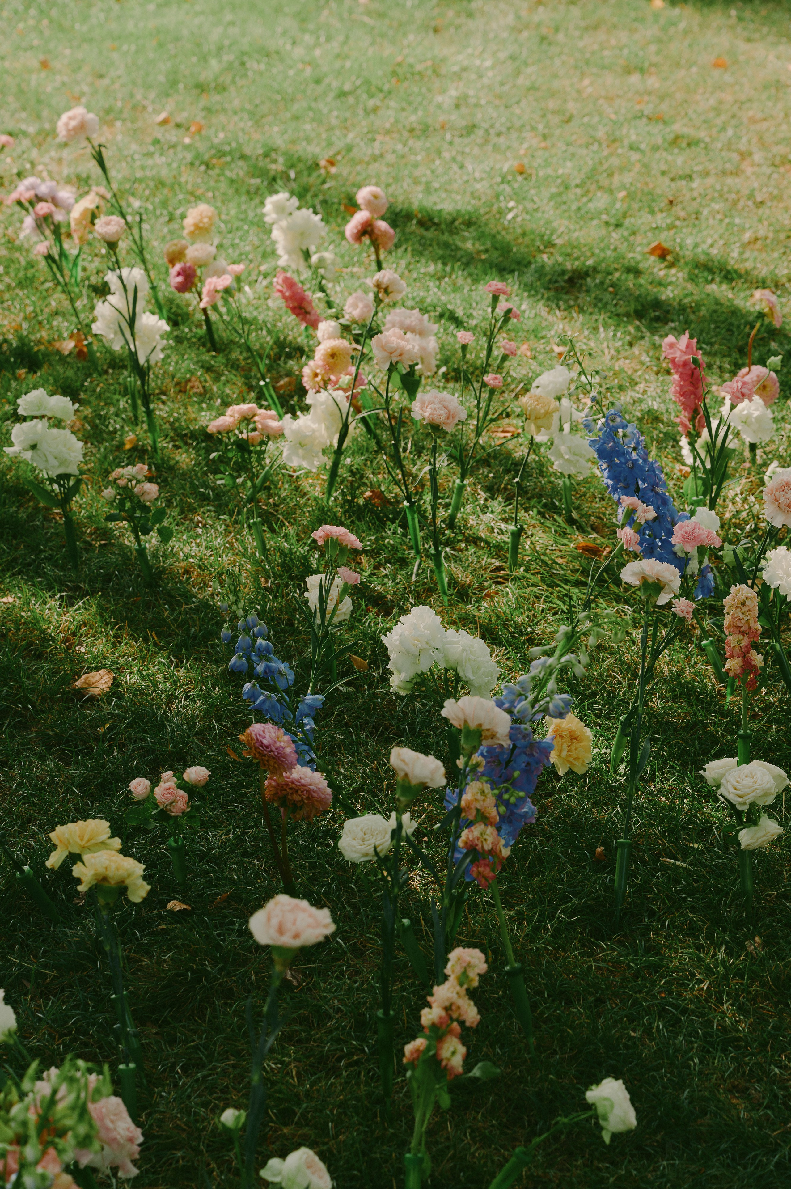 Лина и Стас. Свадебный фотограф в Ростовe-на-Дону Анастасия Прутова