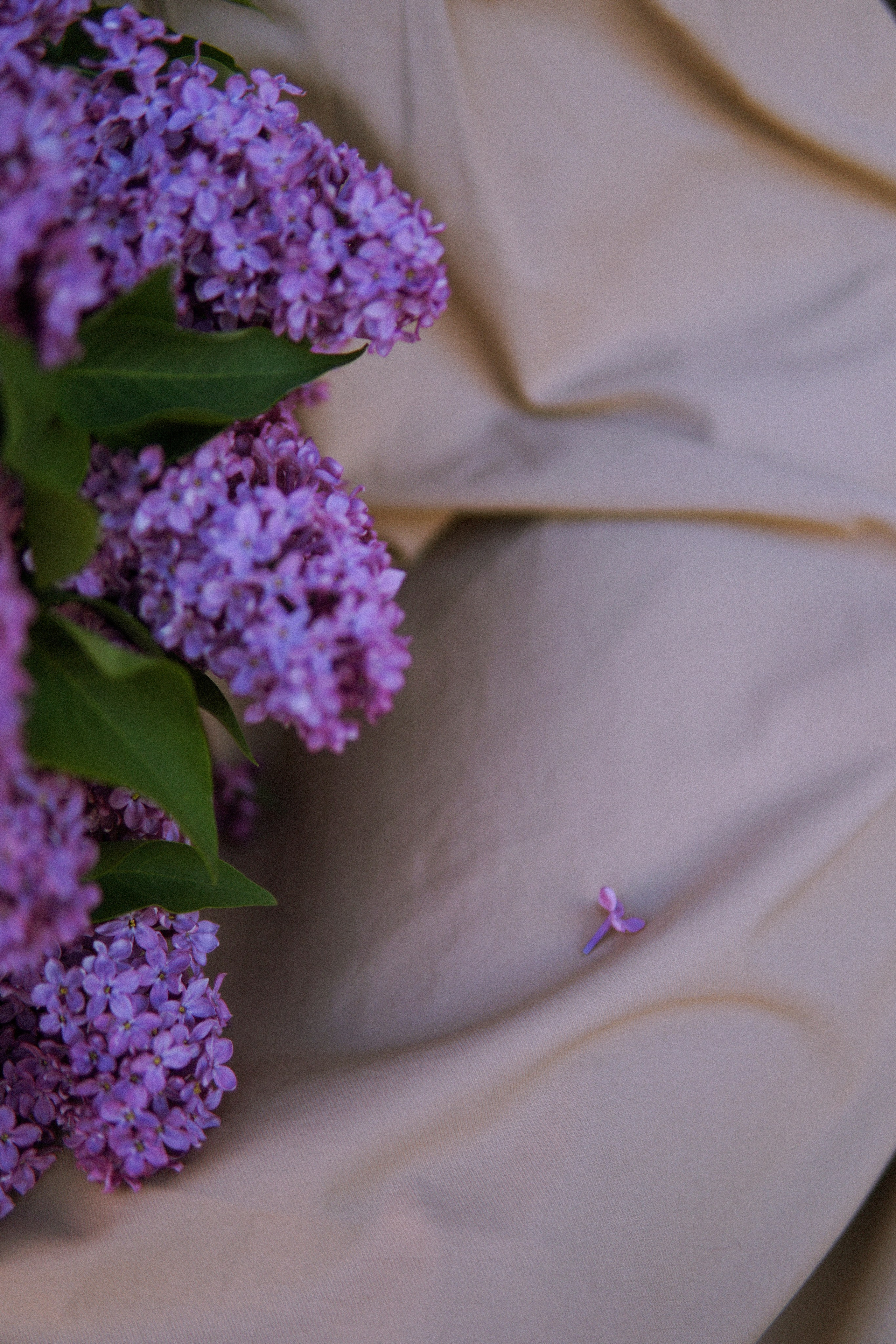 Love Story в Ростове-на-Дону. Сергей и Валентина. Фотограф в Ростове-на-Дону Марина Мальцева