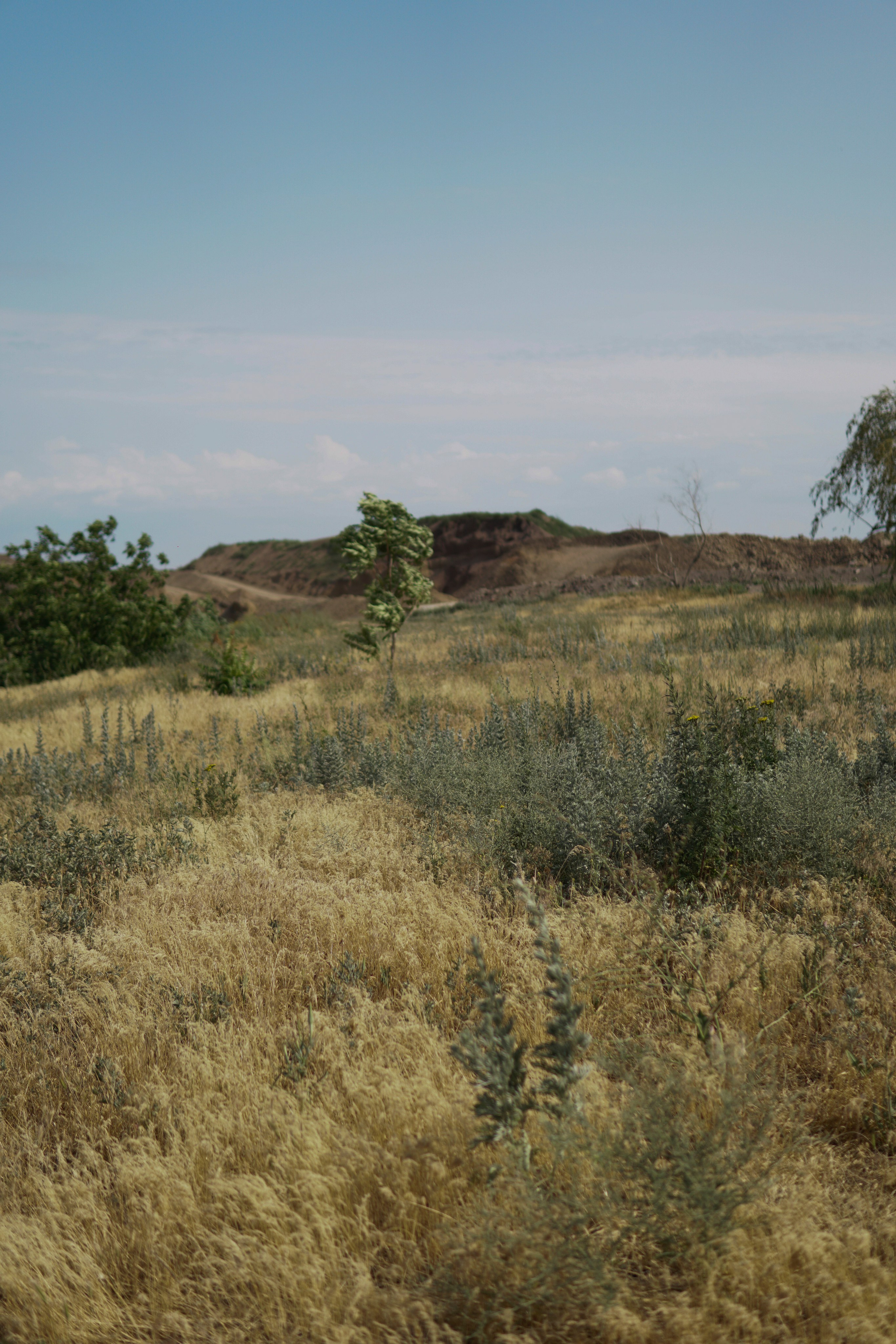 Свадьба Александра и Елены. Таганрог. Фотограф в Ростове-на-Дону Марина Мальцева